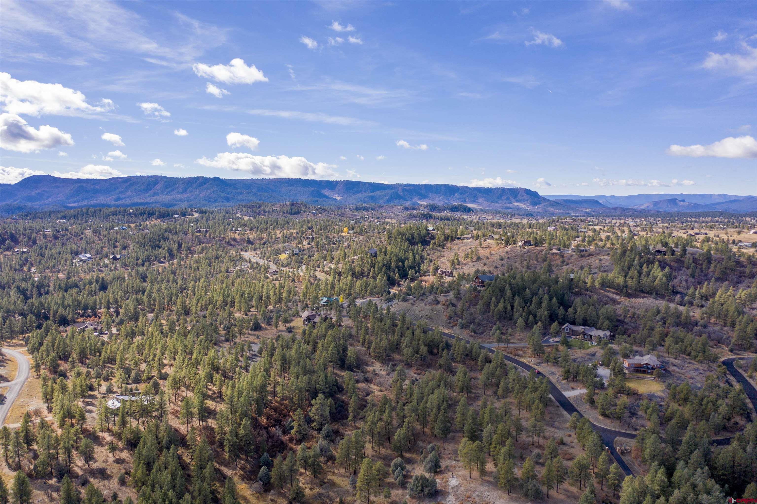 511 Cool Pines Drive, Pagosa Springs, CO 81147 Listing Photo  9