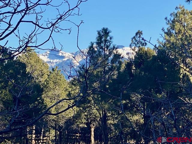 A perfect lot for building your dream home on the golf course in the mountains!  Located on the 7th fairway of the stunning Colorado mountain course, The Divide Ranch, this lot is level, full of trees and has underground utilities to the lot line.  It also has some great mountain views that can be enhanced with the build.  Buyer will pay all transfer fees, including a 3K property transfer fee.
