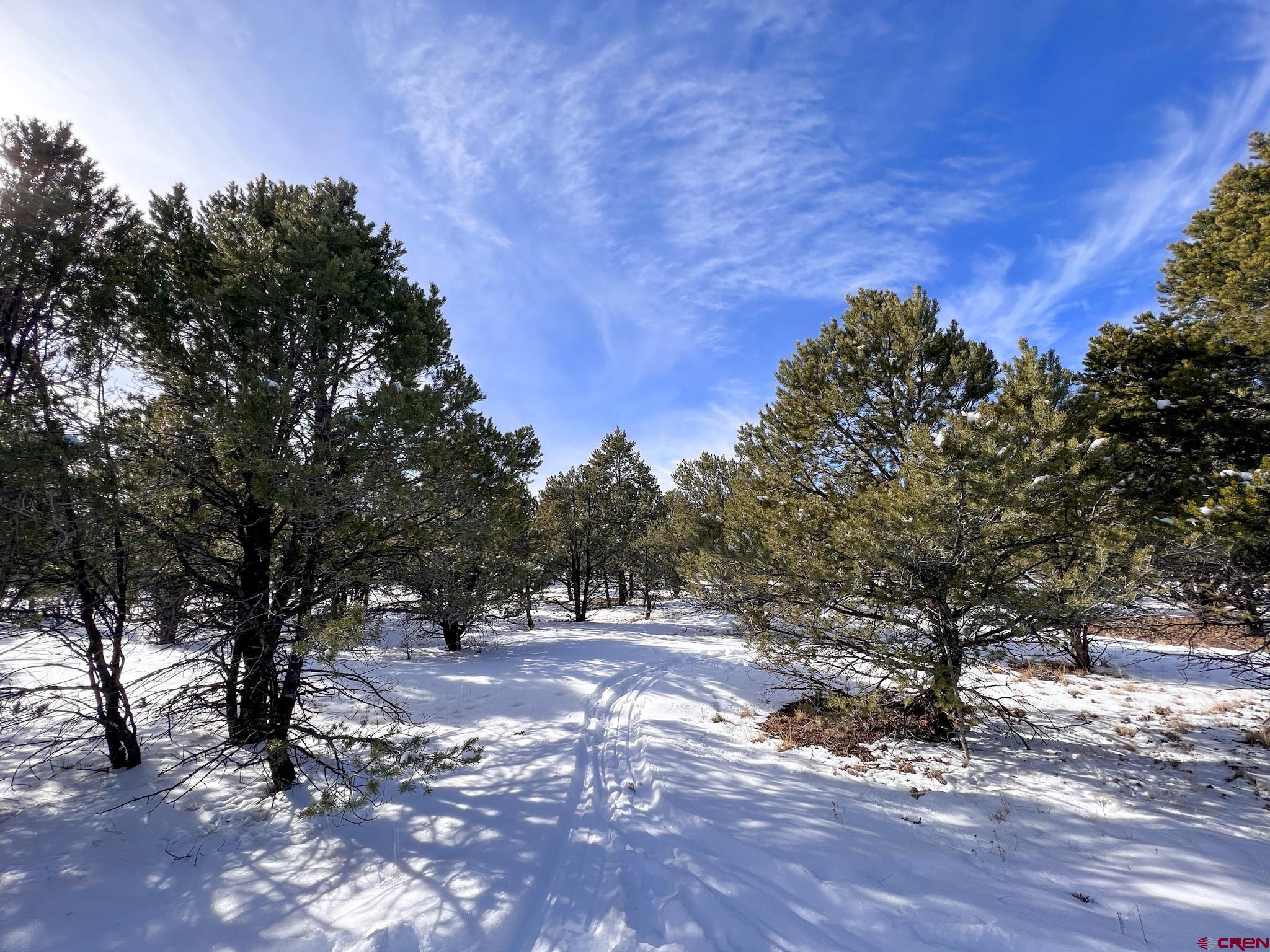Tucked away on a quiet cul de sac in Loghill Village, this 4.9 acre lot is the perfect spot to build your dream home. The lot offers ample tree coverage and sweeping views of the Cimarrons. This is an easy to build on, relatively flat property that gently slopes toward the back of the lot. Minimal dwelling size is 1000 square feet for single story and 1500 square feet for two story.
