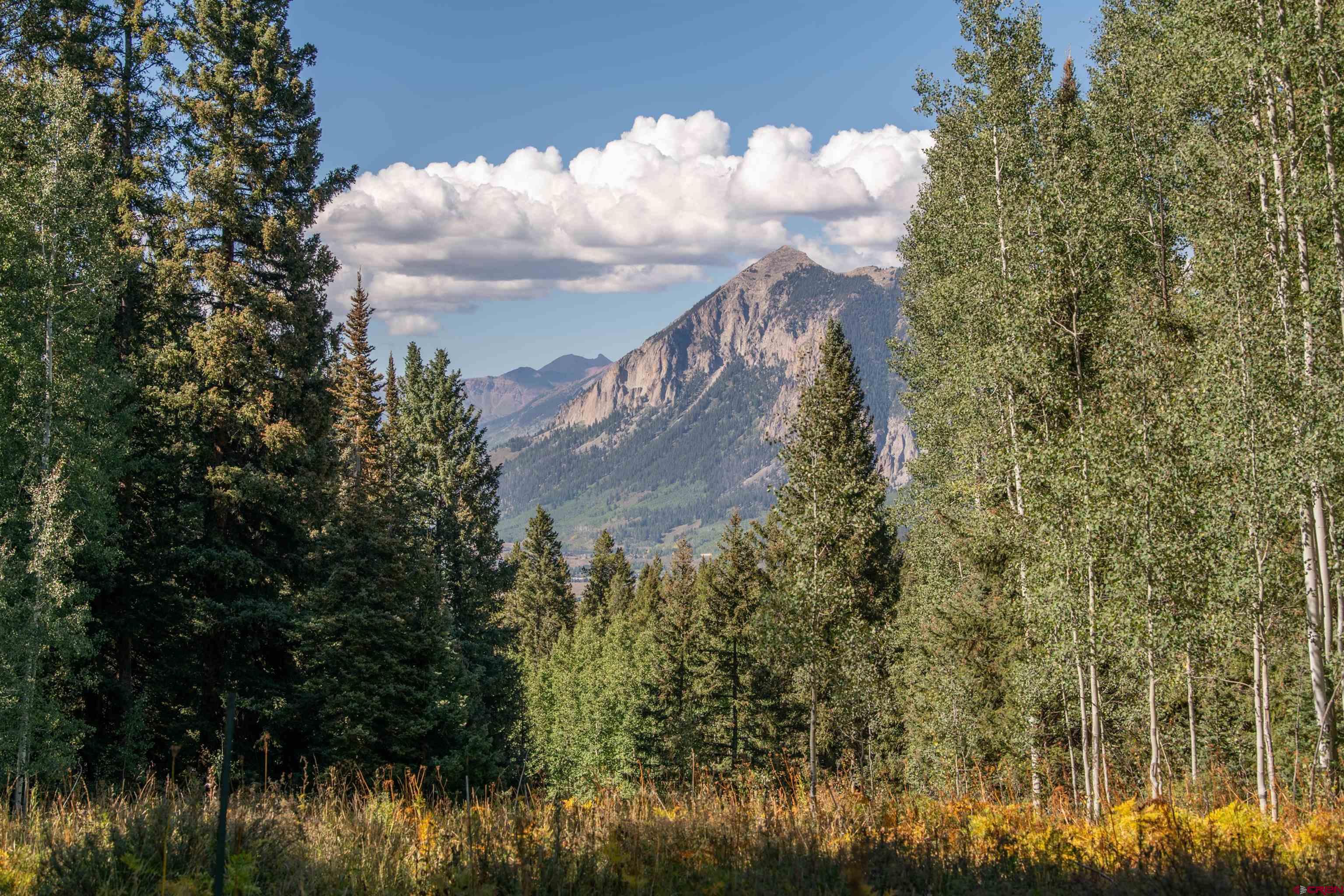 1251 Red Mountain Ranch Lower Loop, Crested Butte, CO 