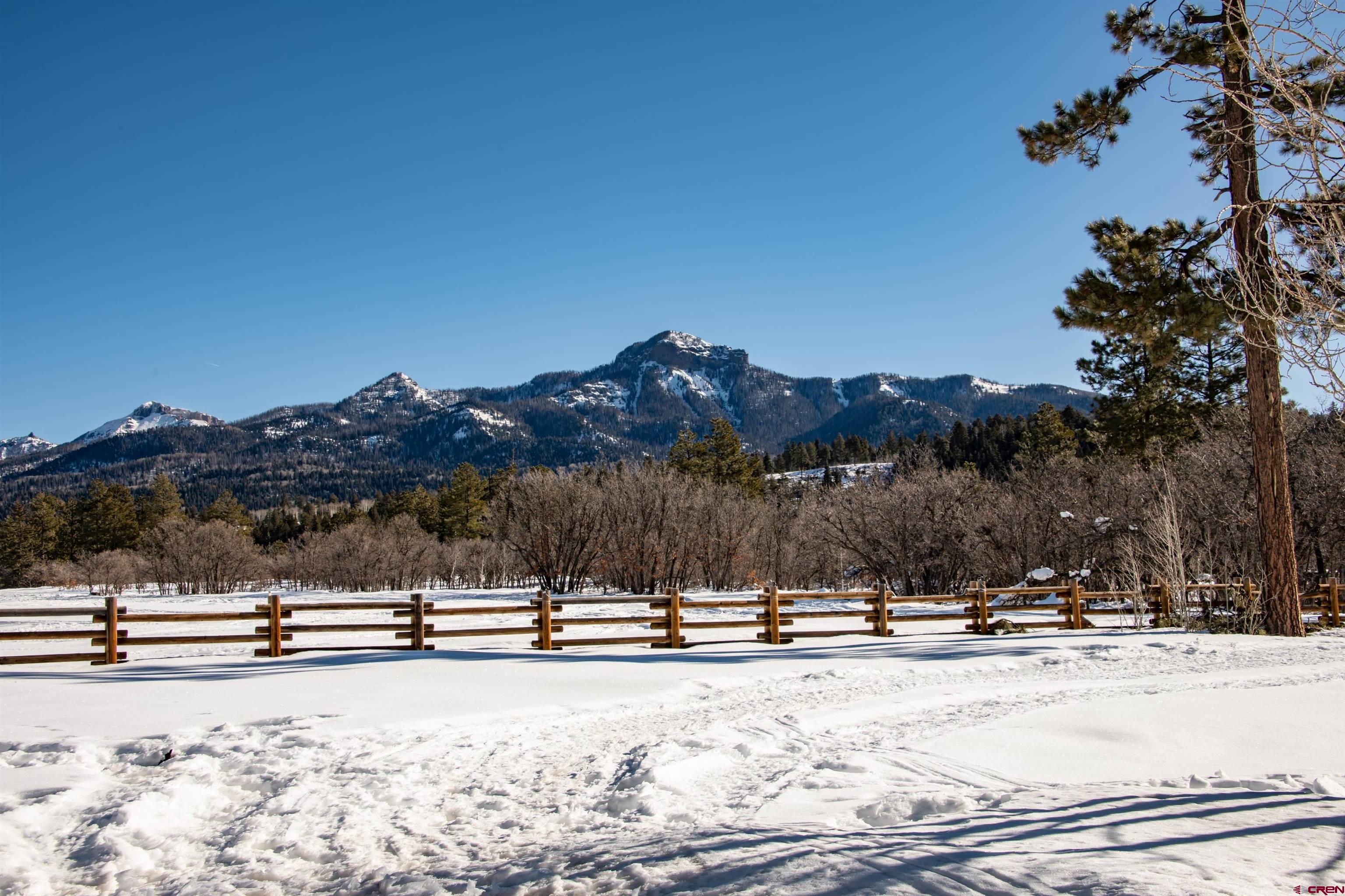 1051 Needles View Place, Pagosa Springs, CO 81147 Listing Photo  6