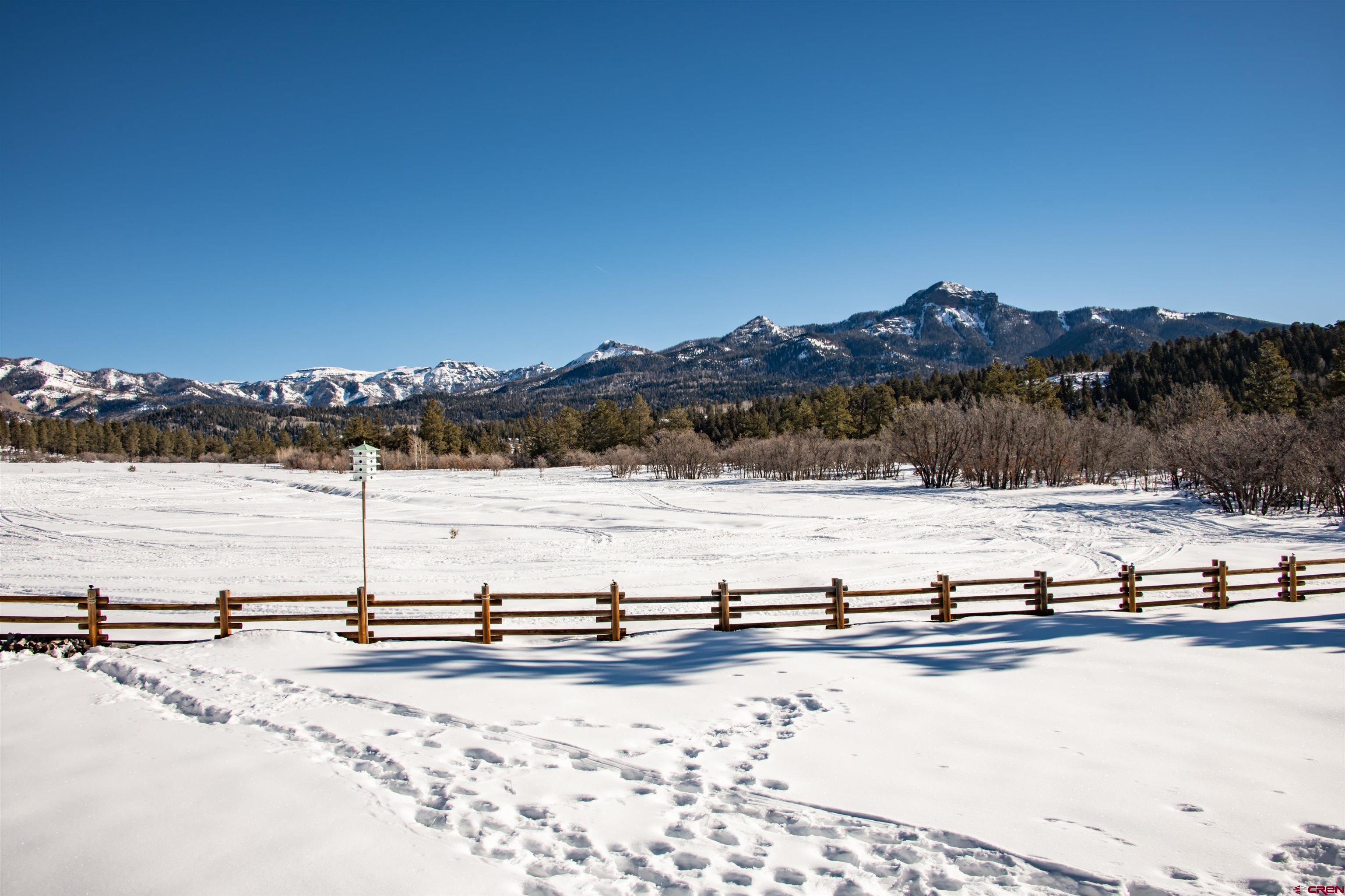 1051 Needles View Place, Pagosa Springs, CO 81147 Listing Photo  8