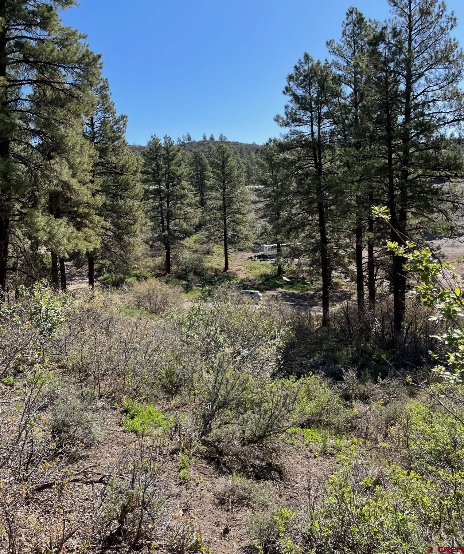 320 Deer Trail