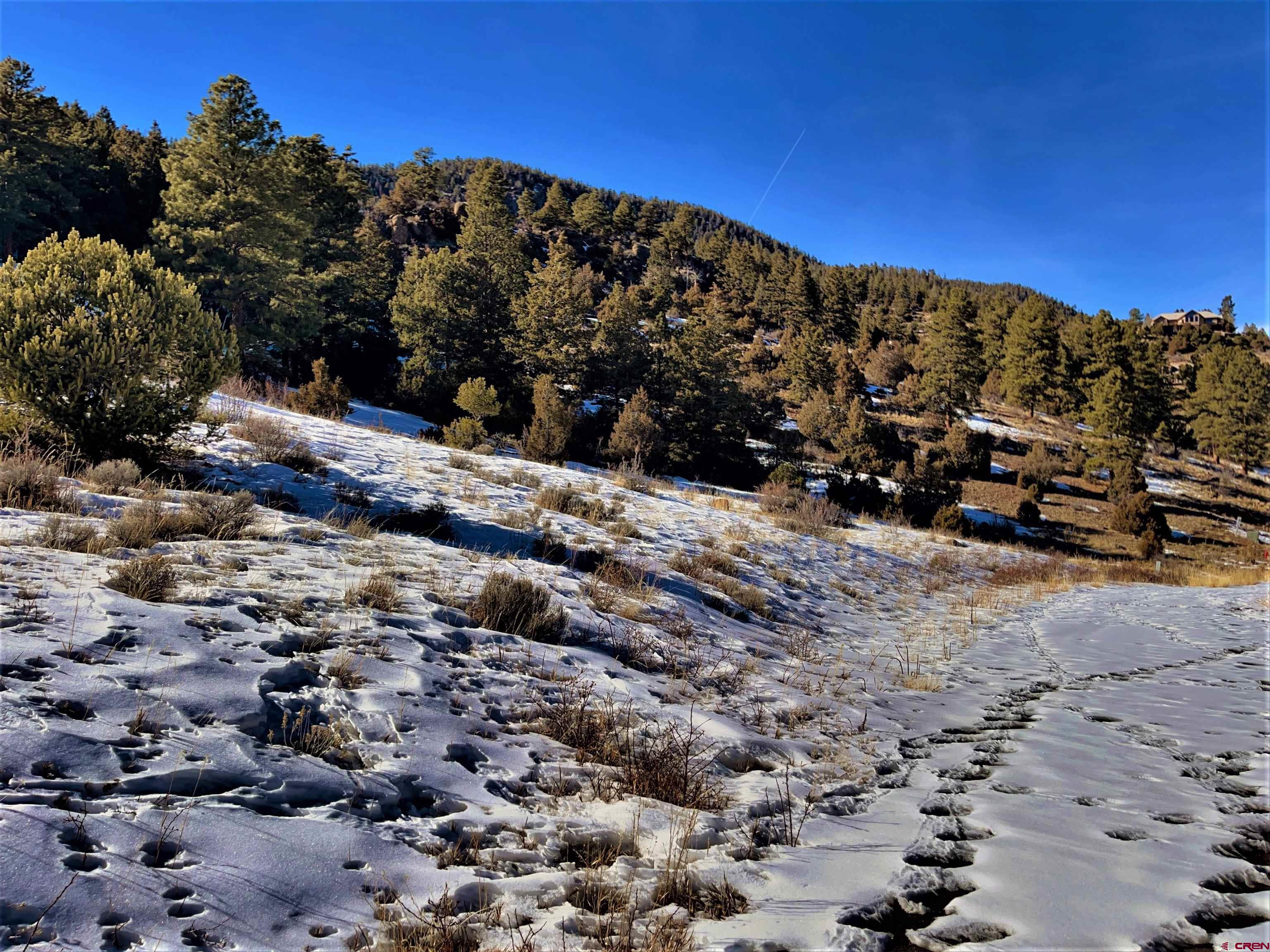 Photo of 27 Hillside Ln in South Fork, CO