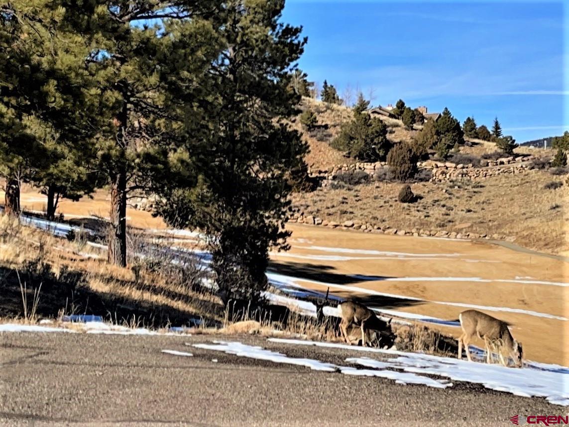 Photo of 67 Hillside Ln in South Fork, CO