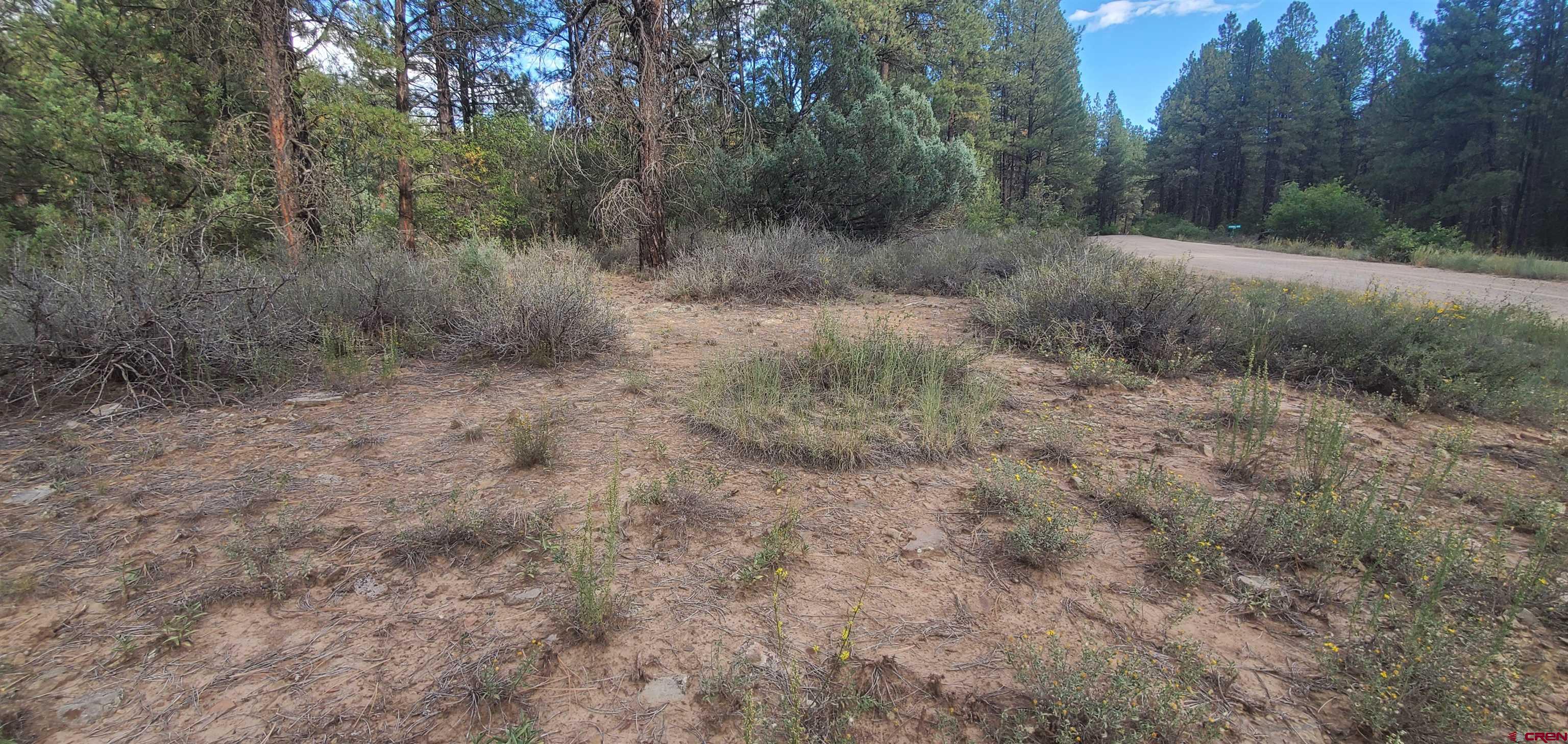 X County Road 917, Pagosa Springs, CO 81147 Listing Photo  2