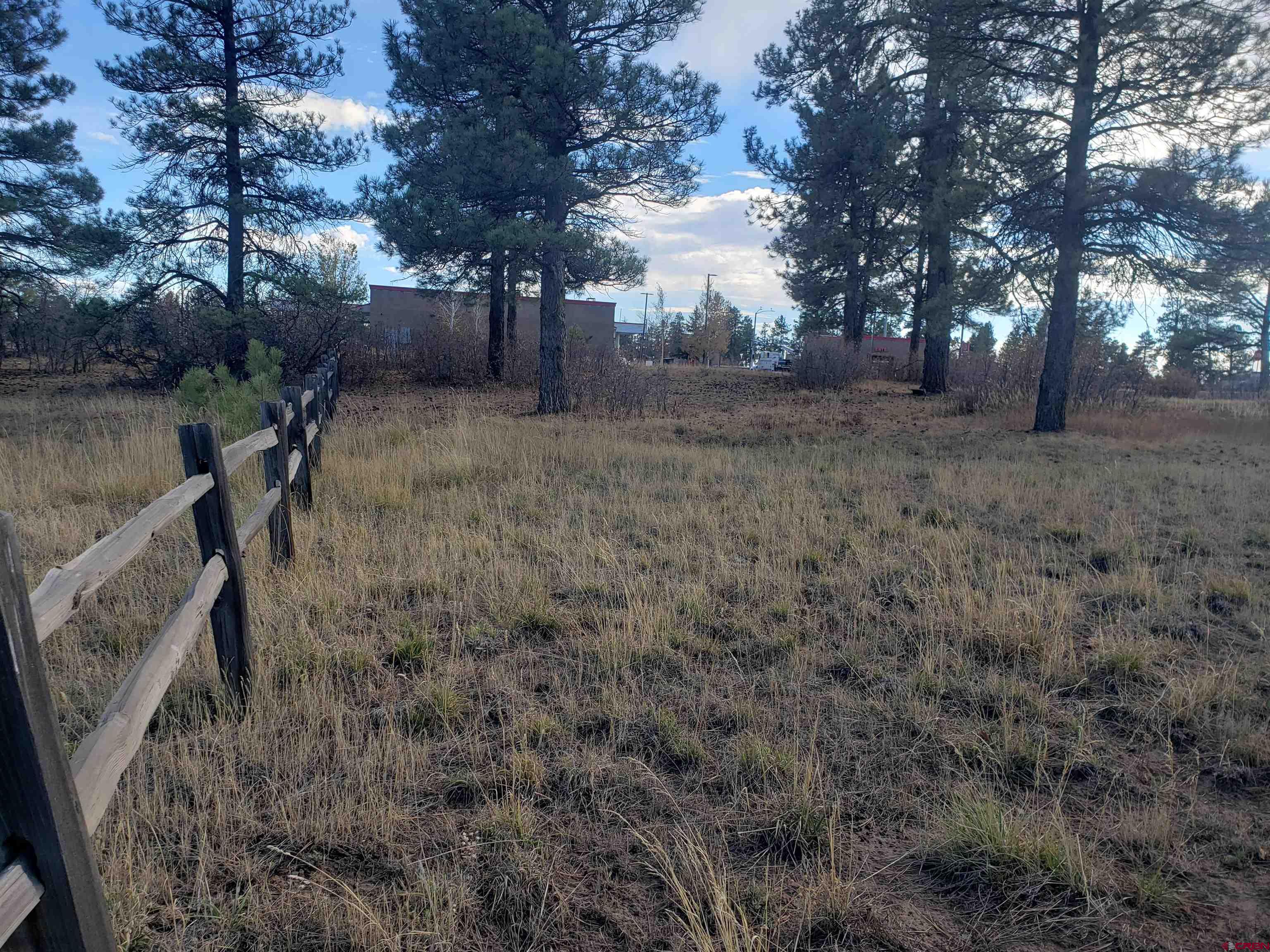 X County Road 600, Pagosa Springs, CO 81147 Listing Photo  5