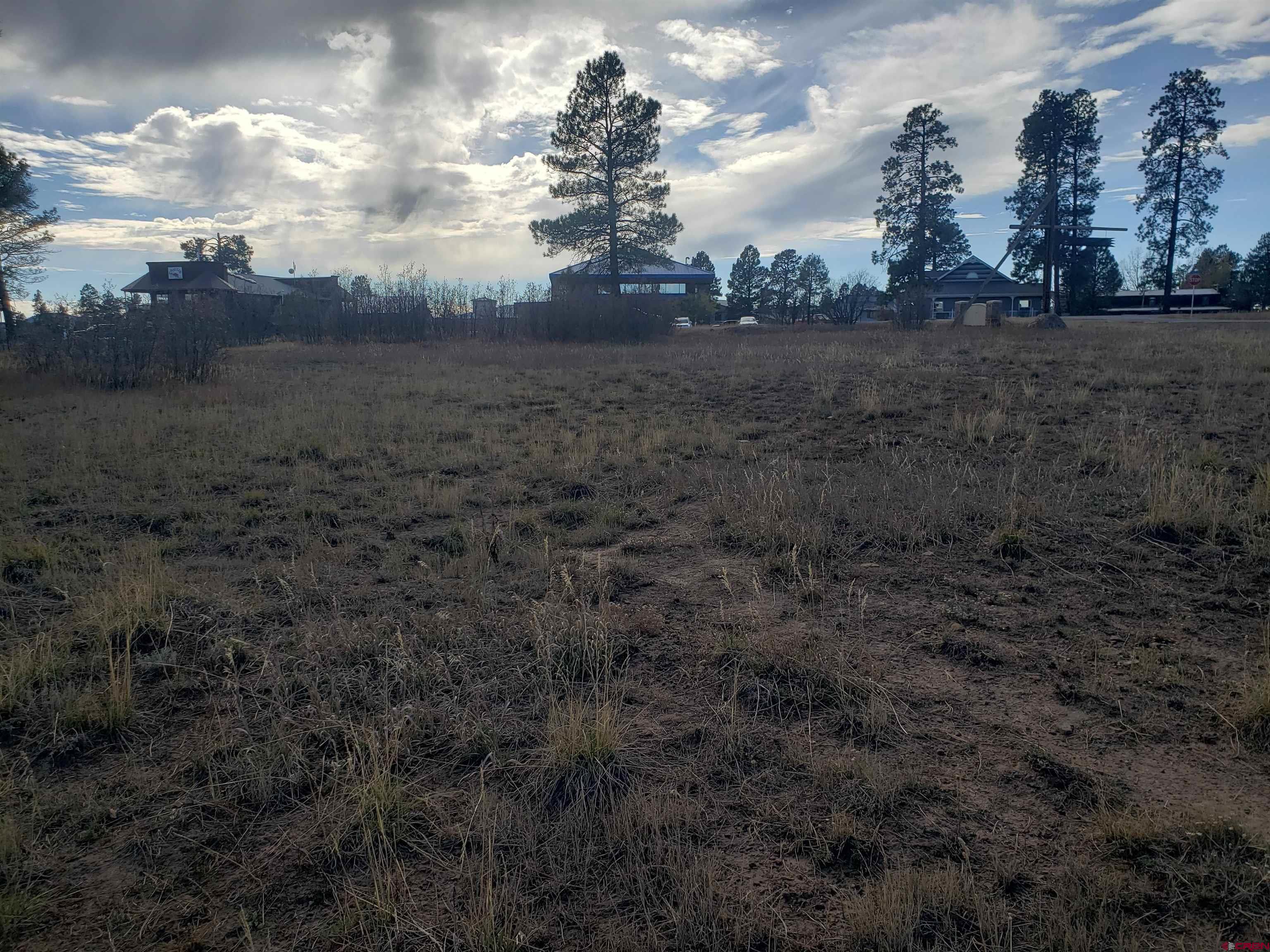 X County Road 600, Pagosa Springs, CO 81147 Listing Photo  6