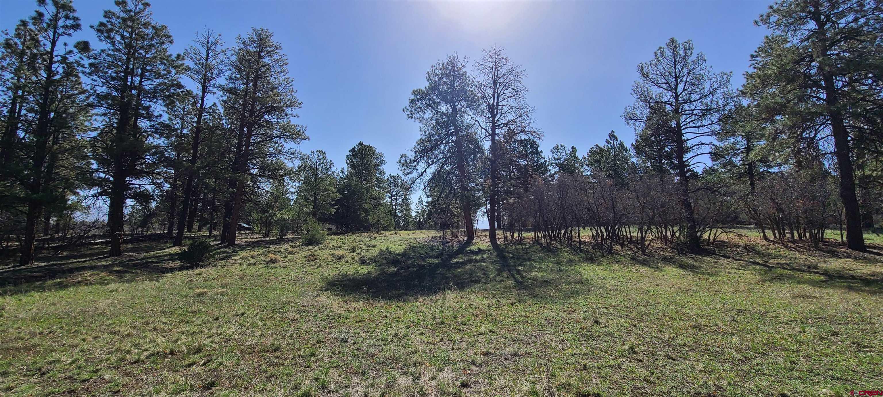 Flat buildable lot in the Divide Ranch subdivision. Nice homes up and down the street. Stately Ponderosa Pine trees. All utilities to the lot line. Covenants at fairwaypinespoa