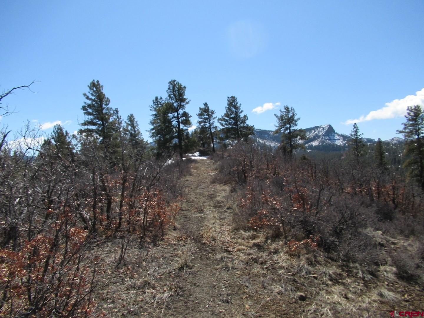 371 Ridge Place
