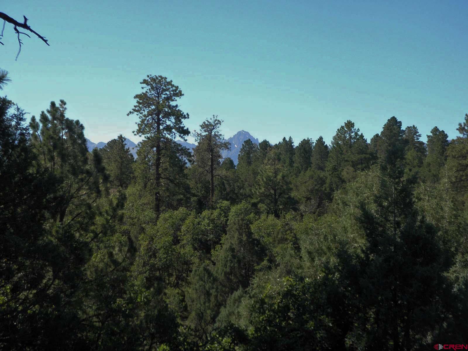 Nice views of Mt. Sneffels and the Sneffels Range, large mature Ponderosa Pines, great building site.  Make sure this lot is on the list to show buyers that want the forest and views.   There is a $3,000 membership transfer fee, buyer is to pay that fee.