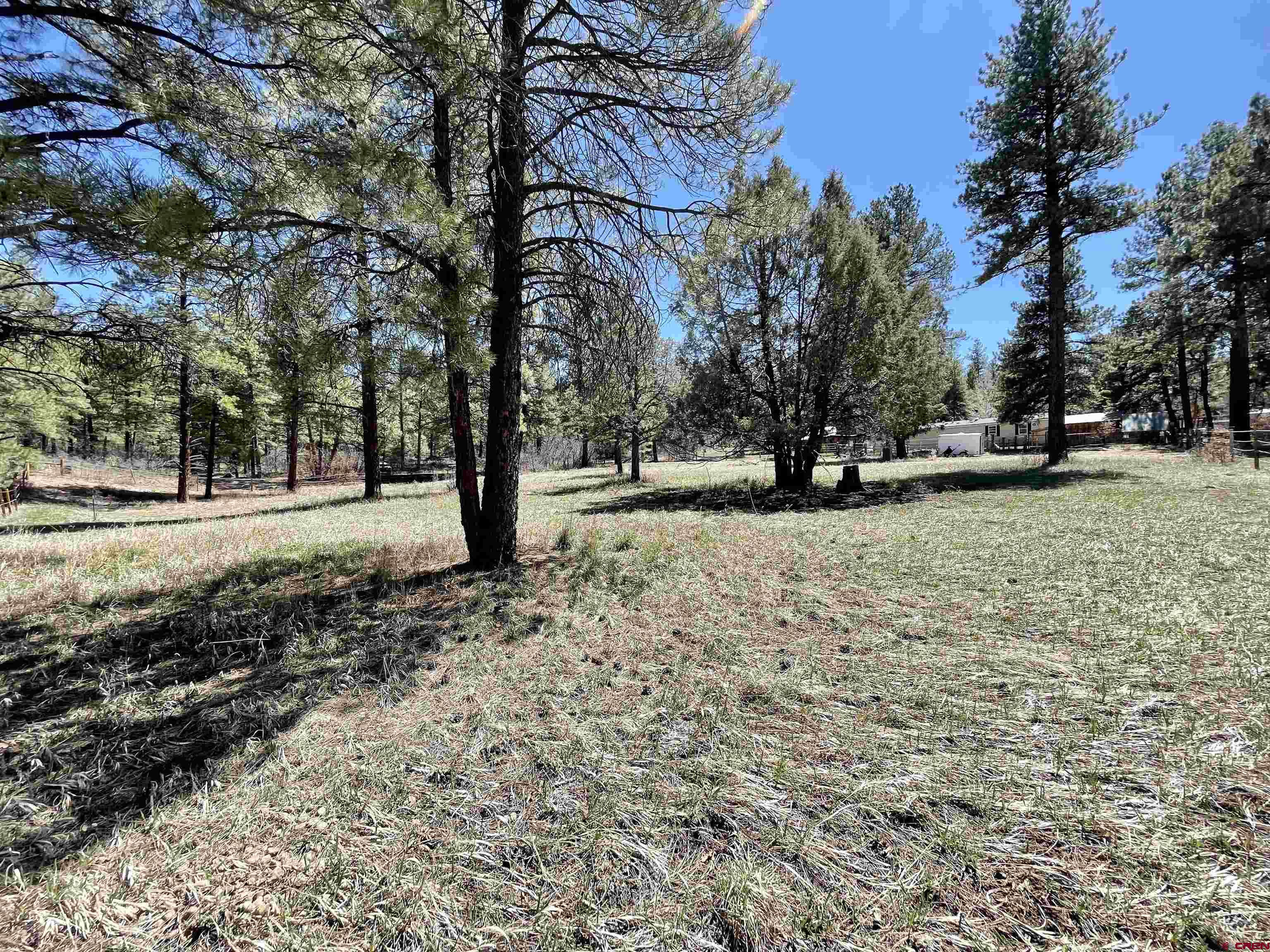 482 Hilltop Drive, Pagosa Springs, CO 81147 Listing Photo  18