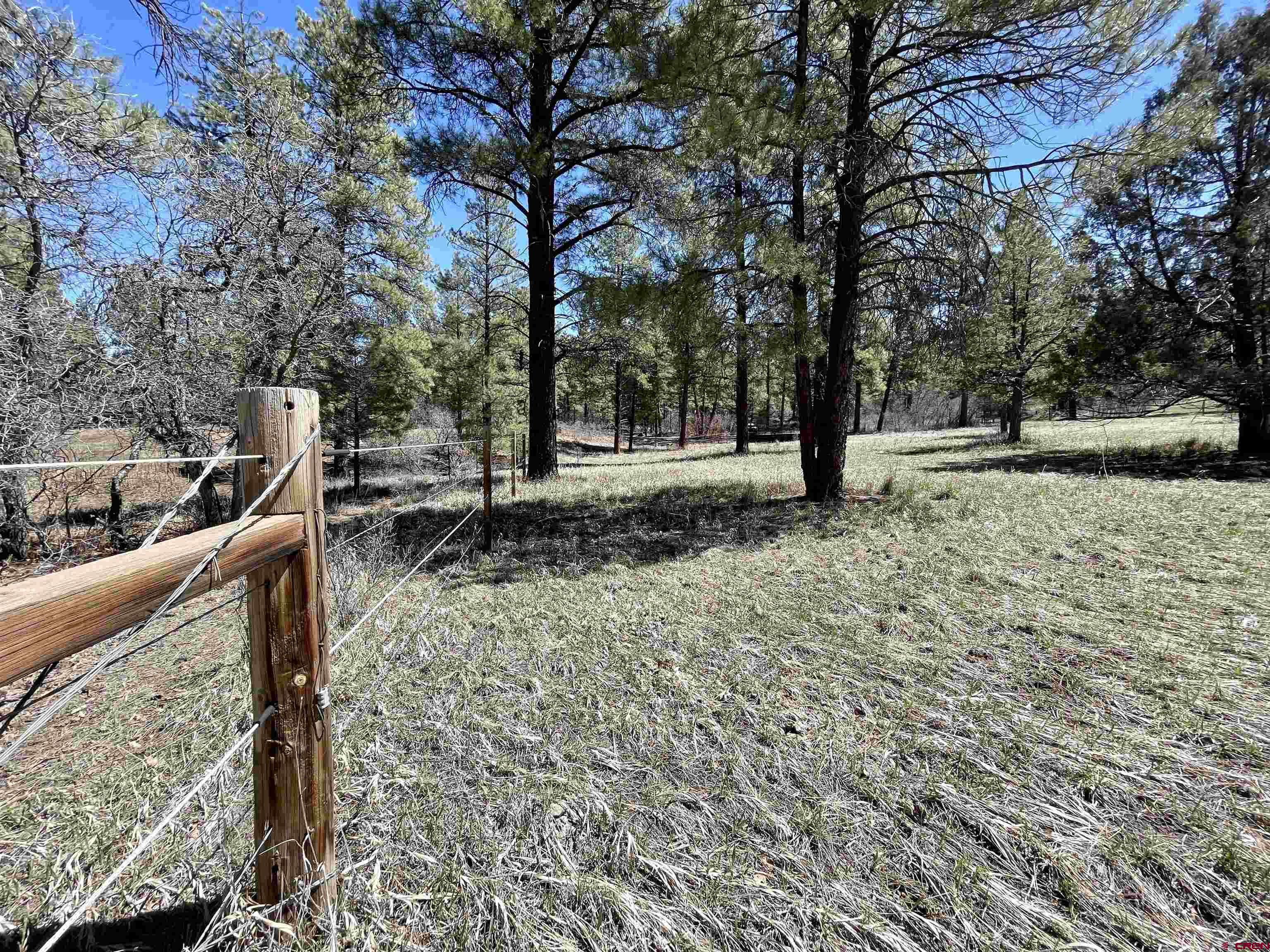482 Hilltop Drive, Pagosa Springs, CO 81147 Listing Photo  8