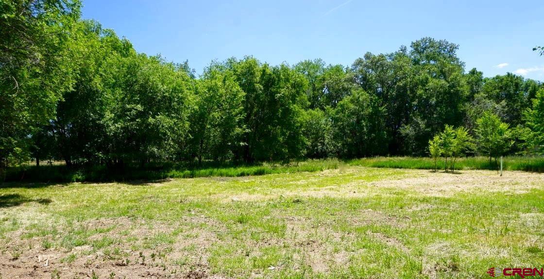 Desirable Paonia building site!  This bright property is located across from the North Fork of the Gunnison River and a short walk to town.  Its ready to go with an R-2 zoning, domestic water, irrigation water, and sewer.  Come enjoy the peacefulness and birds singing while you design your new home.