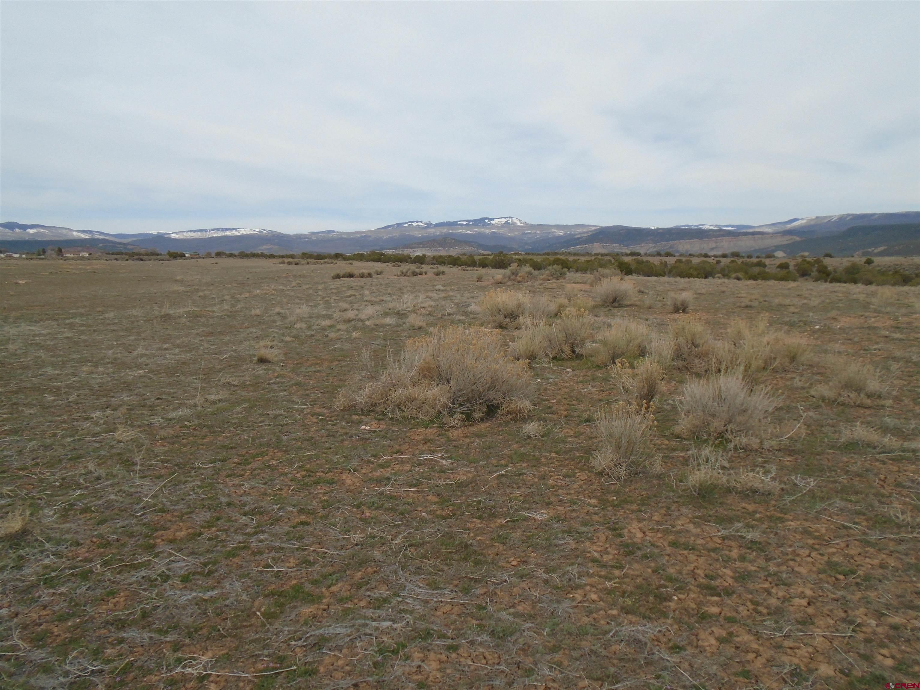 This property will make a great large lot building site.  It has gentle slope to the South.  It is mostly cleared allowing for big views from the West Elk Mtns around to the Grand Mesa.  It offers a great deal of privacy being at the end of the road.  Sellers are including 10 shares of Leon Park Reservoir to serve as augmentation water for the purchase of the water tap from Upper Surface Creek Domestic.  The water line is at the edge of the property.  If you are looking for a special property that has privacy and huge view pattern, please check this property out.