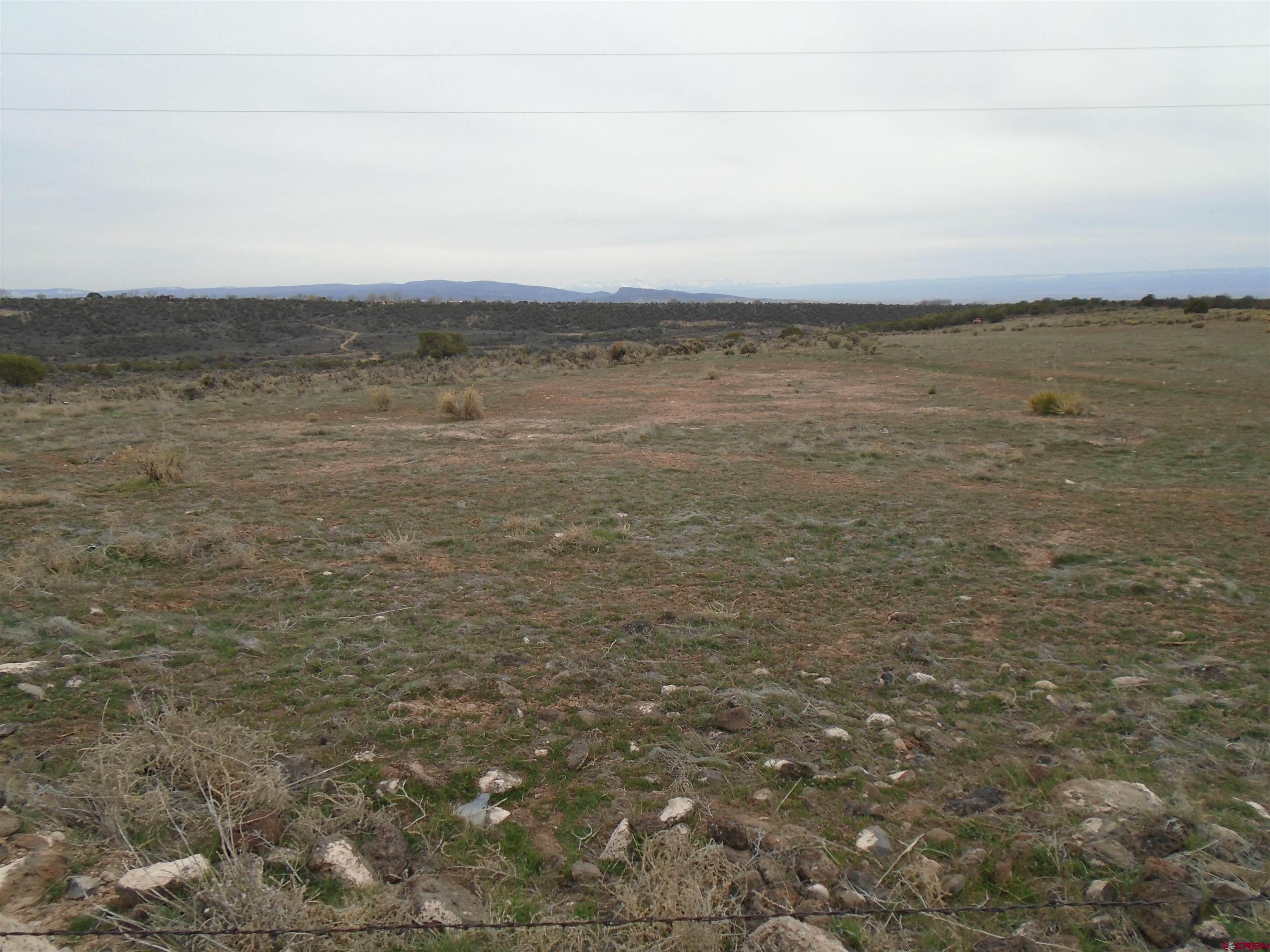 This parcel has terrific views from the West Elk Mtns. around to the Grand Mesa.  It offer a great deal of privacy as it sit 1/4 mile off of the County Road.  The land has a south slope and is mostly cleared.  There is a old mobile home that Seller has given no value to.  It is occupied by the Seller and has a water tap and electric installed.  The property is ready to build on without any restrictions as to the type of home you build.  This lot has the Big Views and Privacy if that is what you are looking for.  Check it out.