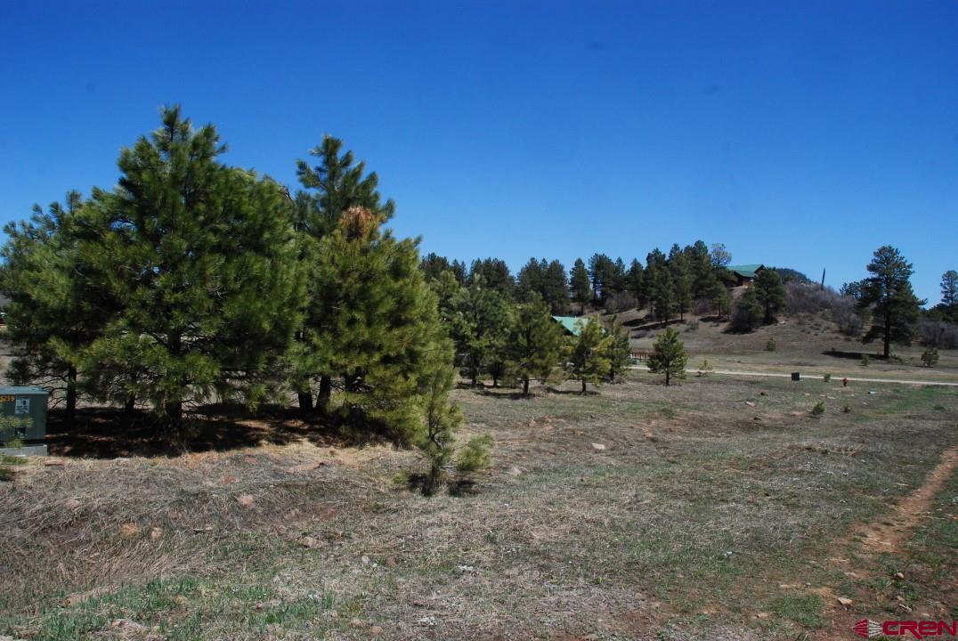 37 Sawtooth Court