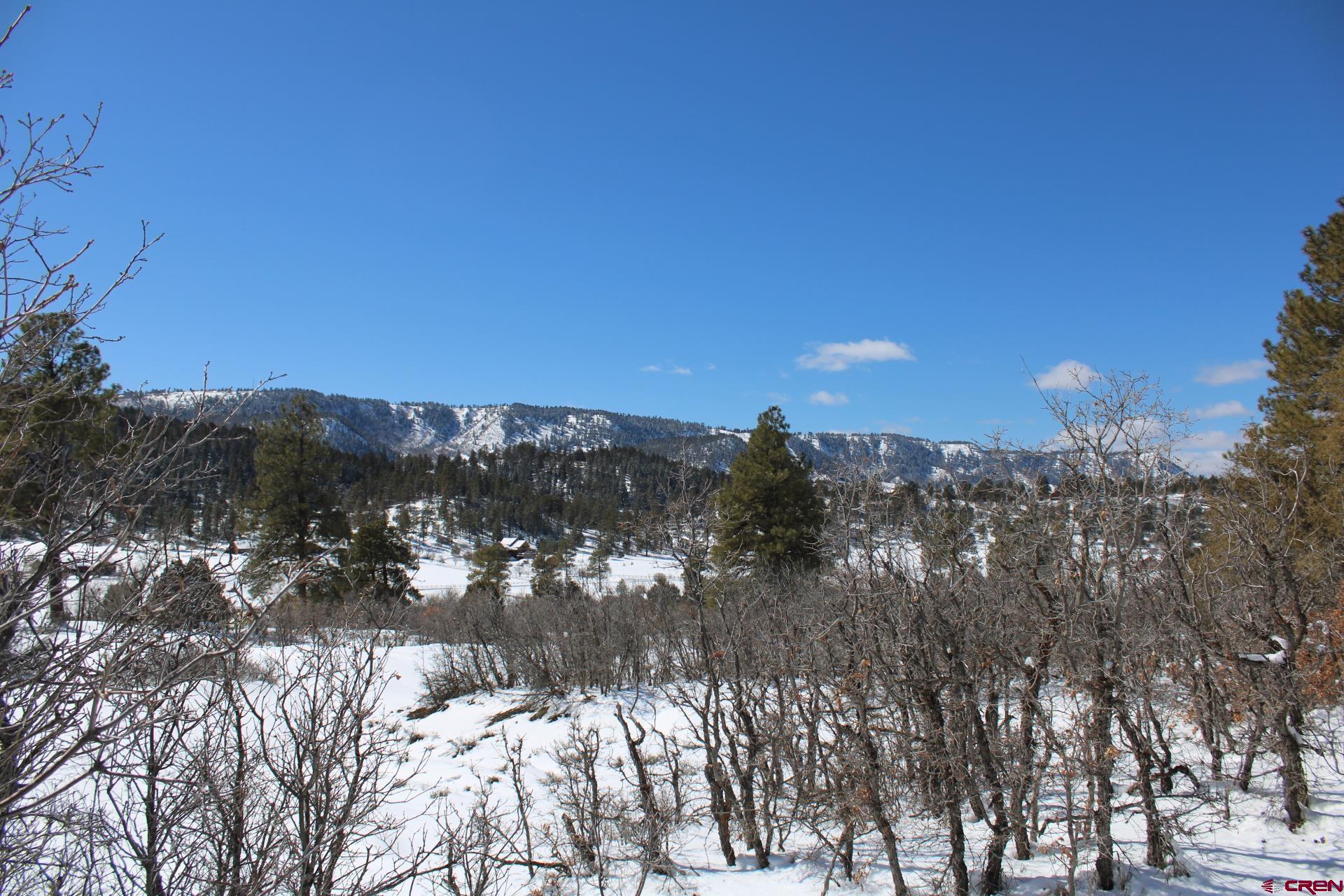 1576 Hersch Avenue, Pagosa Springs, CO 81147 Listing Photo  4