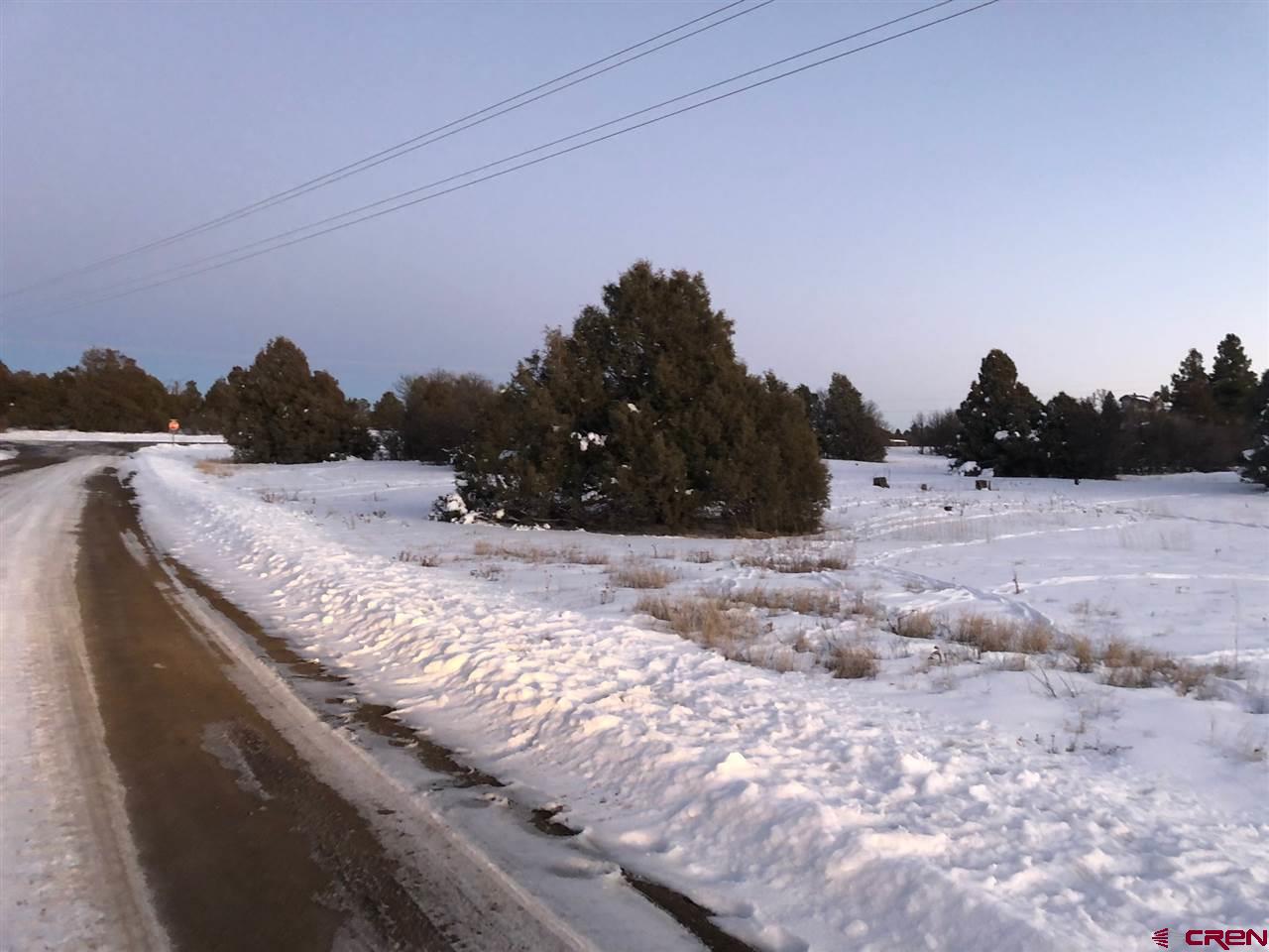 1173 S Pagosa Boulevard