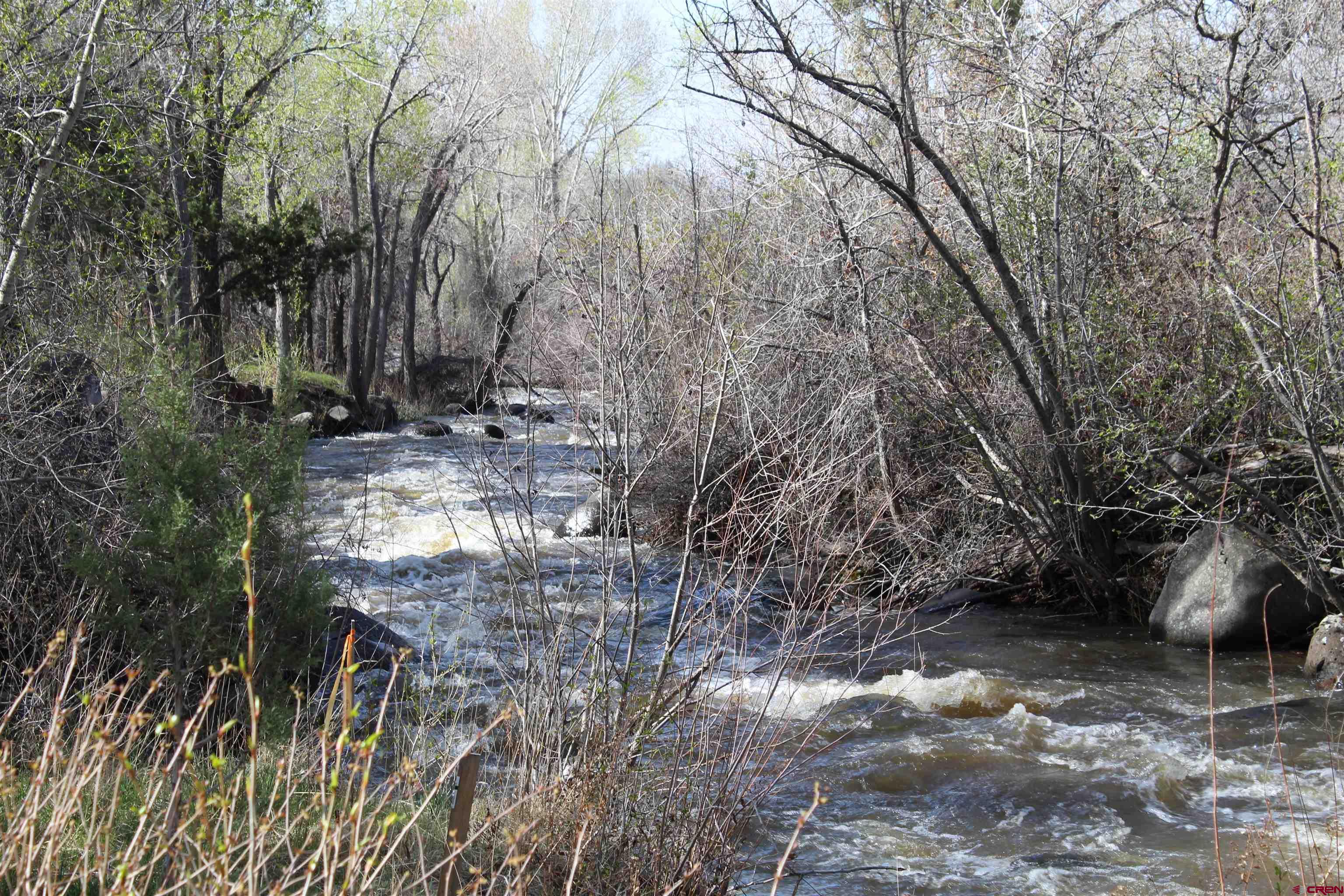 Here's a lot with live water that's hard to find in this part of the country.  This .60 acre lot has Grand Mesa views, lots of trees, and the creek.  Great site to build that dream home!  Secluded back yard backing up to the creek for those park-like setting picnics.  NE 4th street is a dead-end street so not much traffic.  Close to the golf course and not far from the beautiful Grand Mesa.