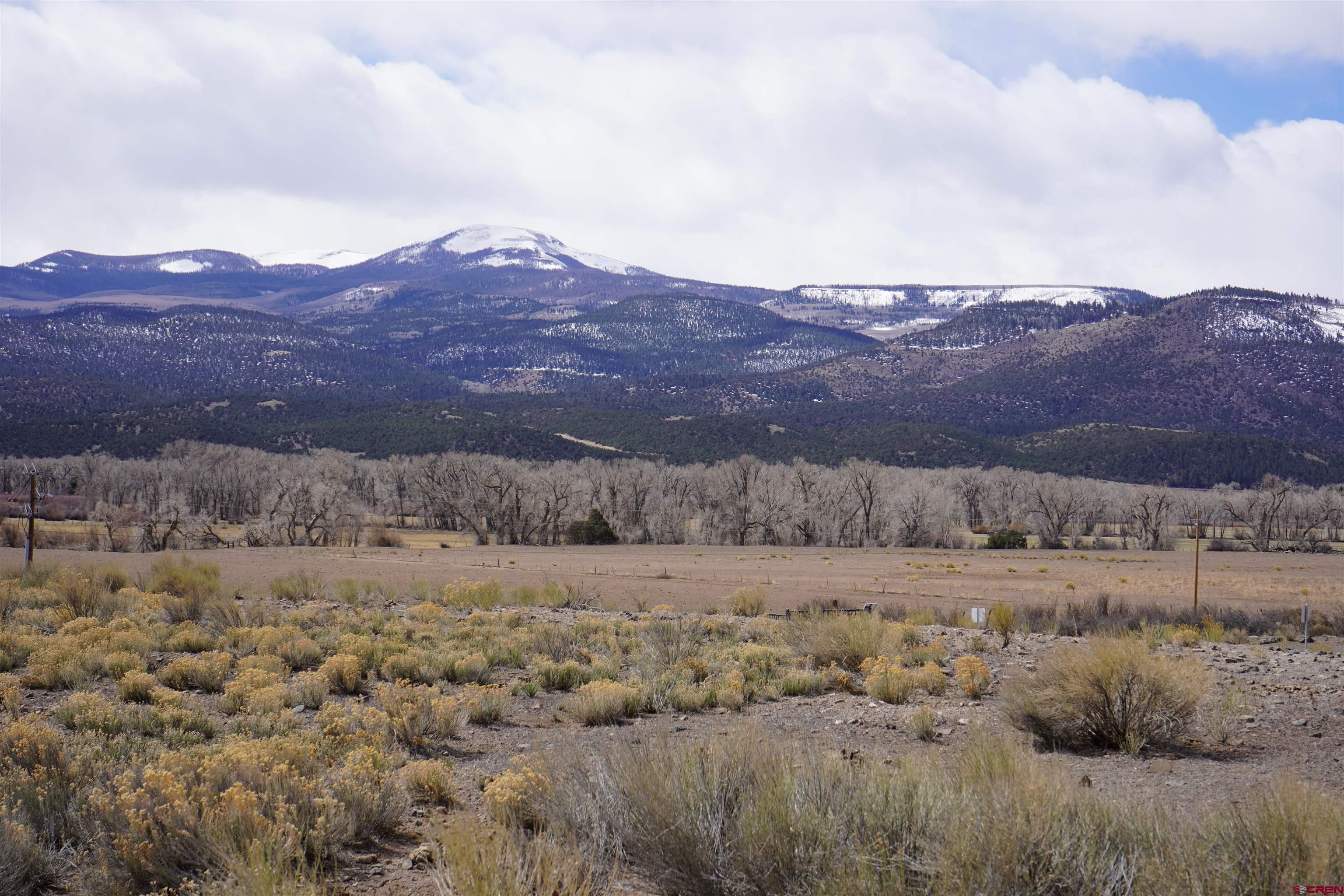 Photo of 335 Expedition Dr in South Fork, CO