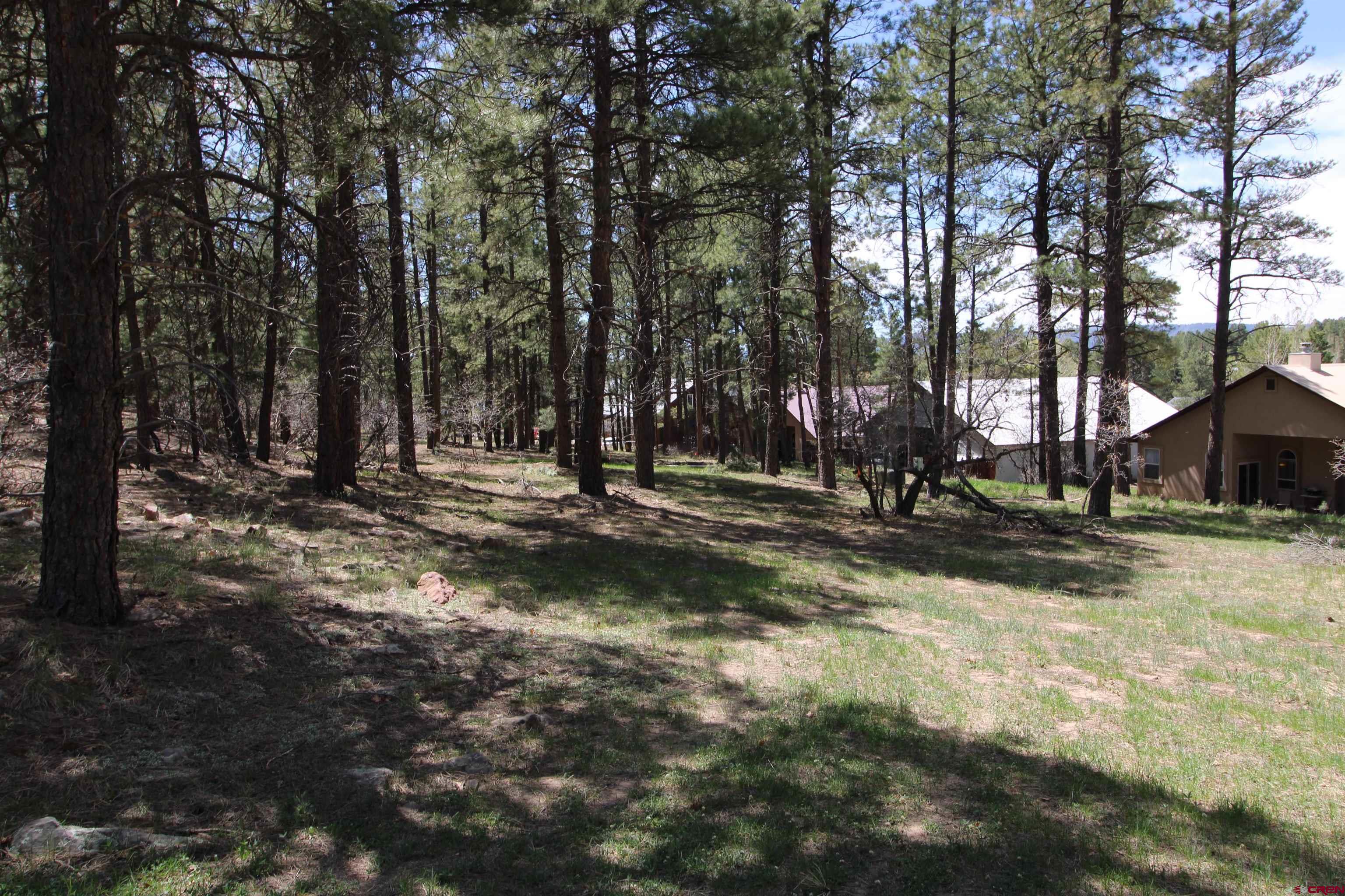 2090 County Rd 600, Pagosa Springs, CO 81147 Listing Photo  1