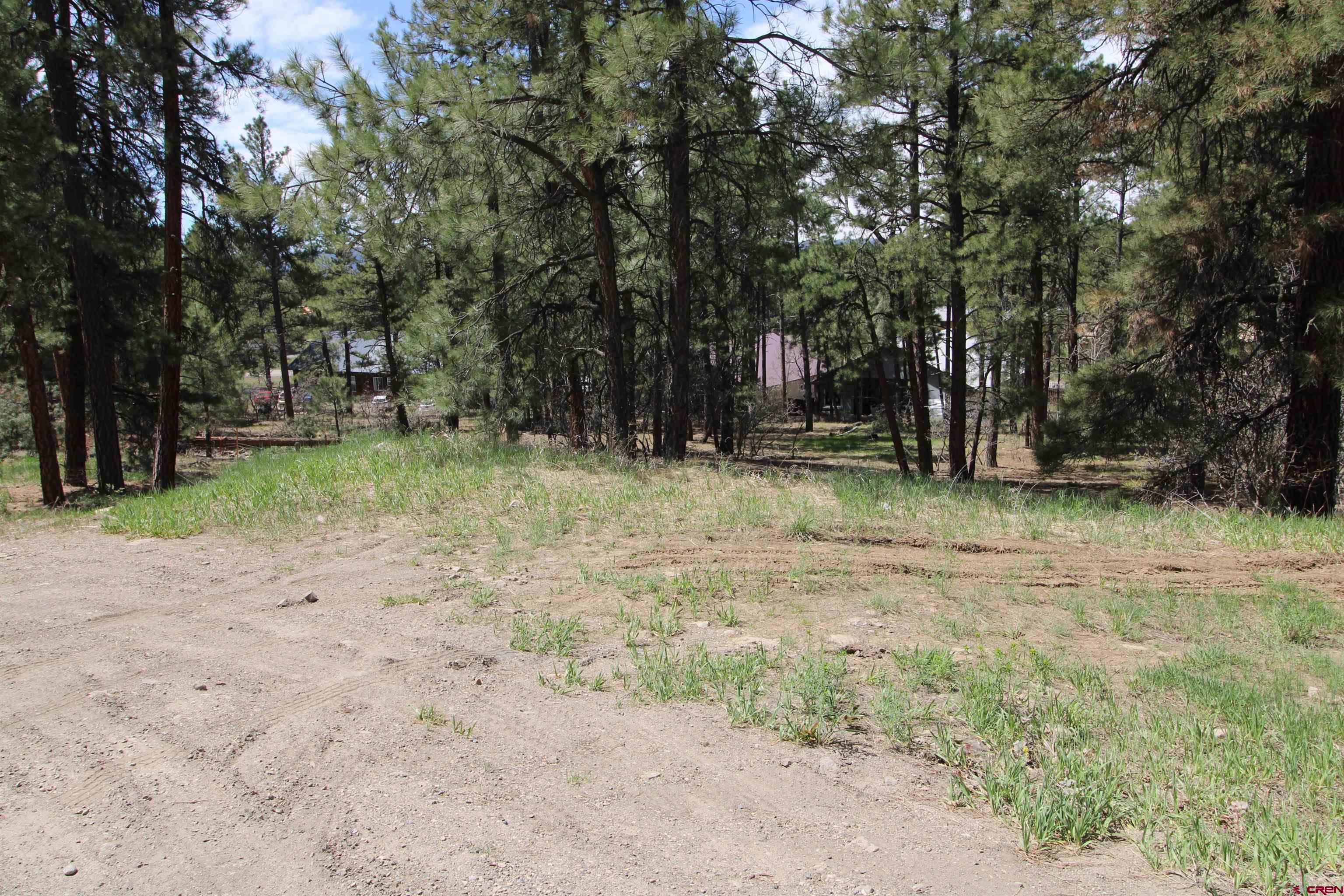 2090 County Rd 600, Pagosa Springs, CO 81147 Listing Photo  2