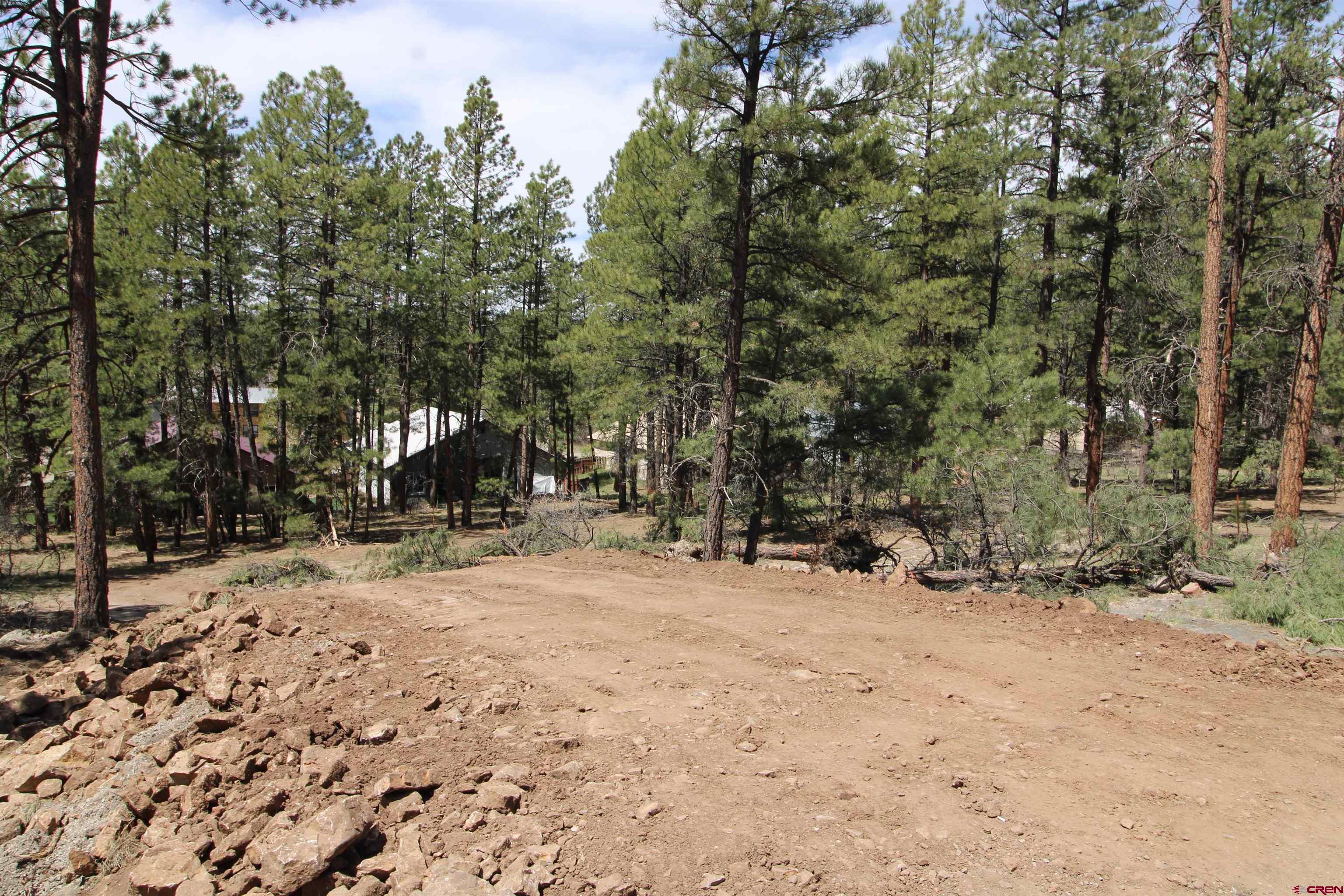 2090 County Rd 600, Pagosa Springs, CO 81147 Listing Photo  12