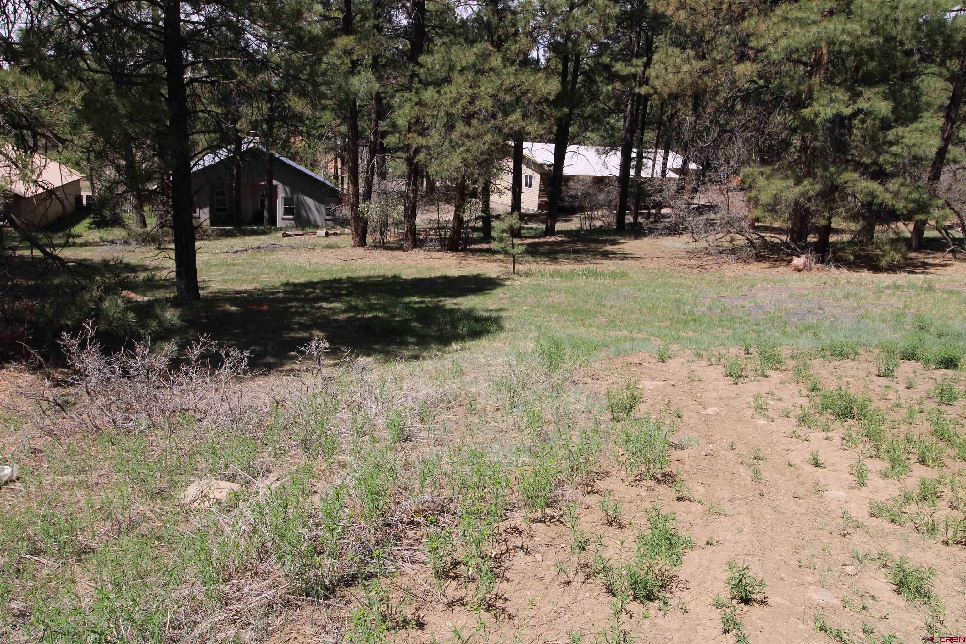 2090 County Rd 600, Pagosa Springs, CO 81147 Listing Photo  3