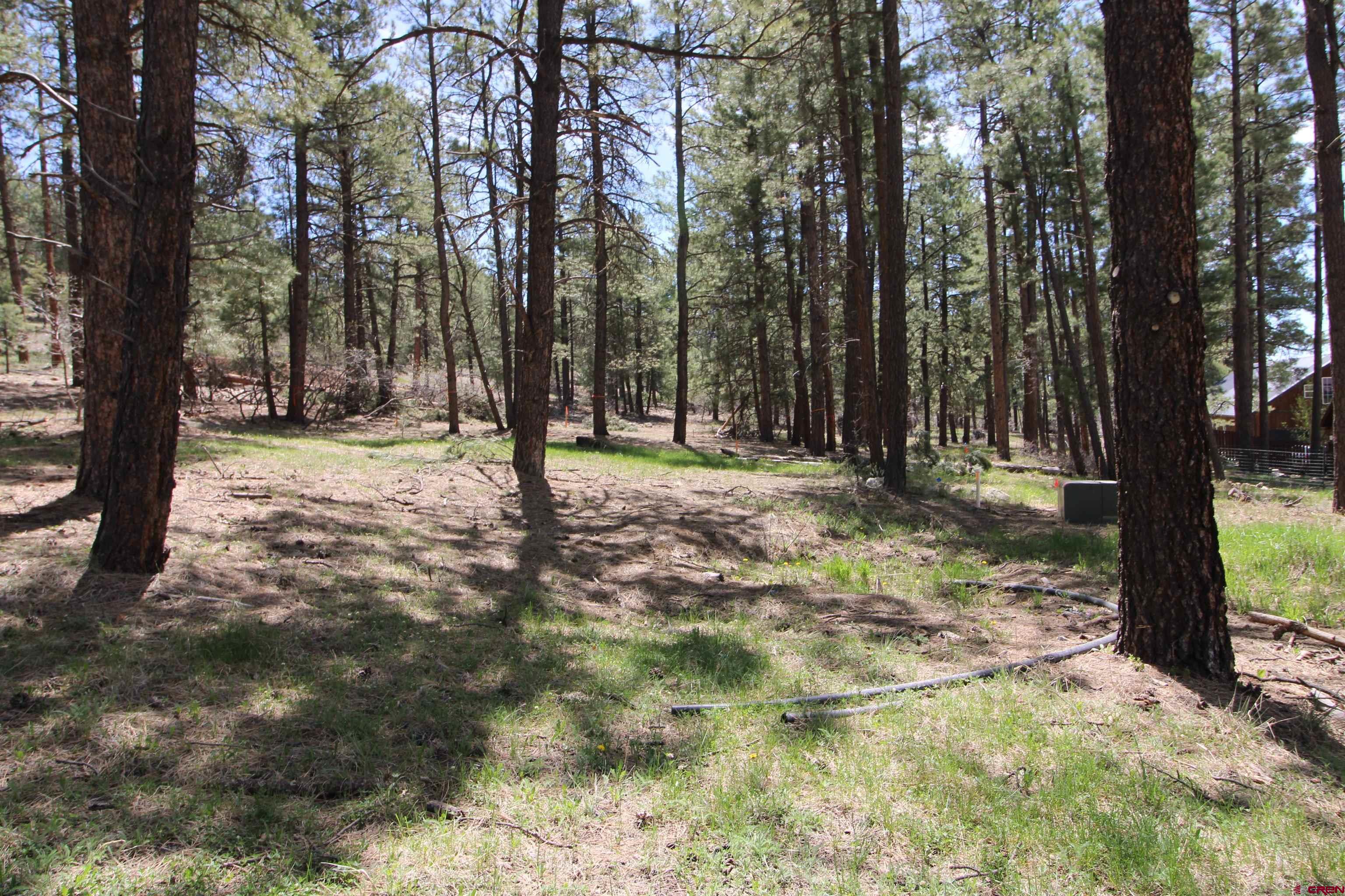 2090 County Rd 600, Pagosa Springs, CO 81147 Listing Photo  6