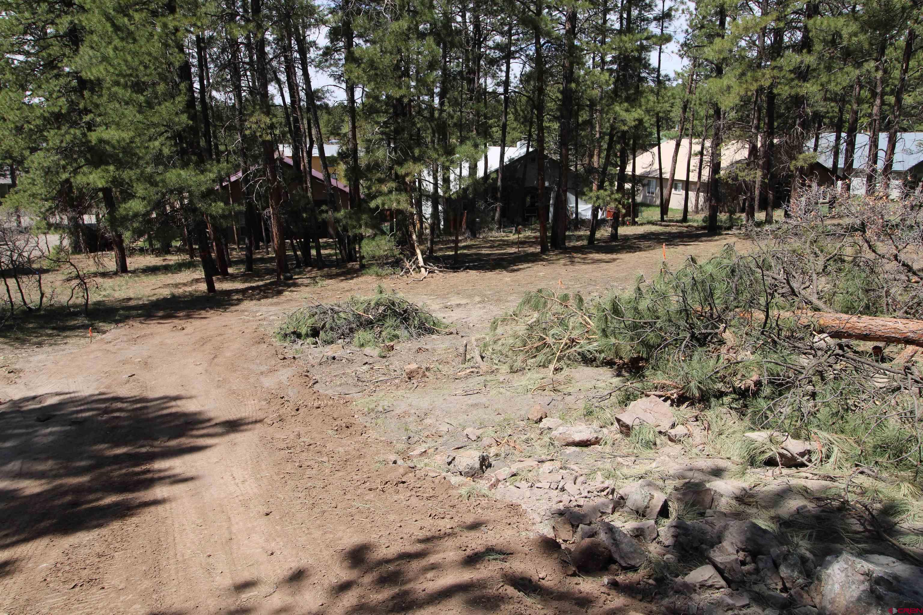 2090 County Rd 600, Pagosa Springs, CO 81147 Listing Photo  10