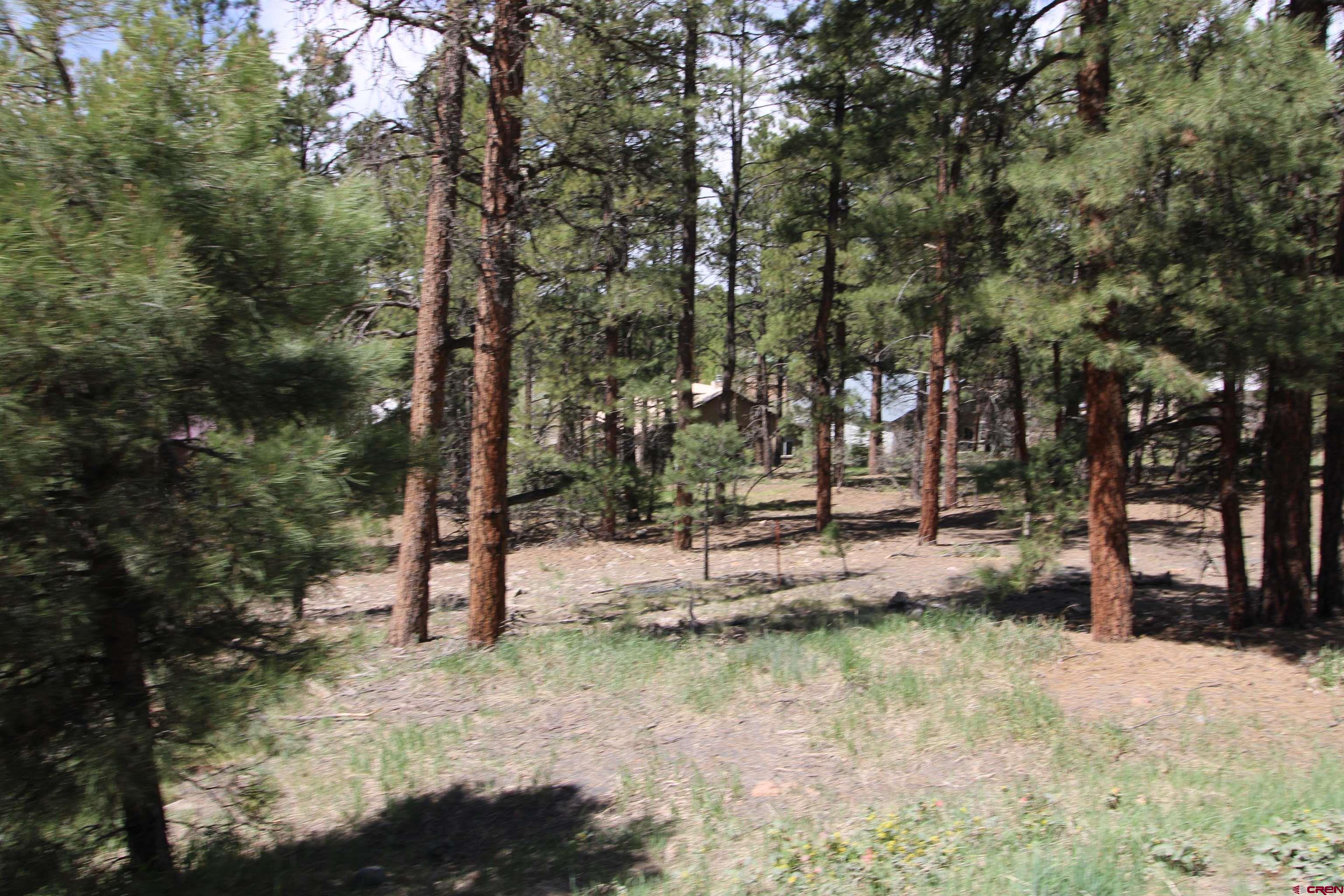 2116 County Rd. 600, Pagosa Springs, CO 81147 Listing Photo  2