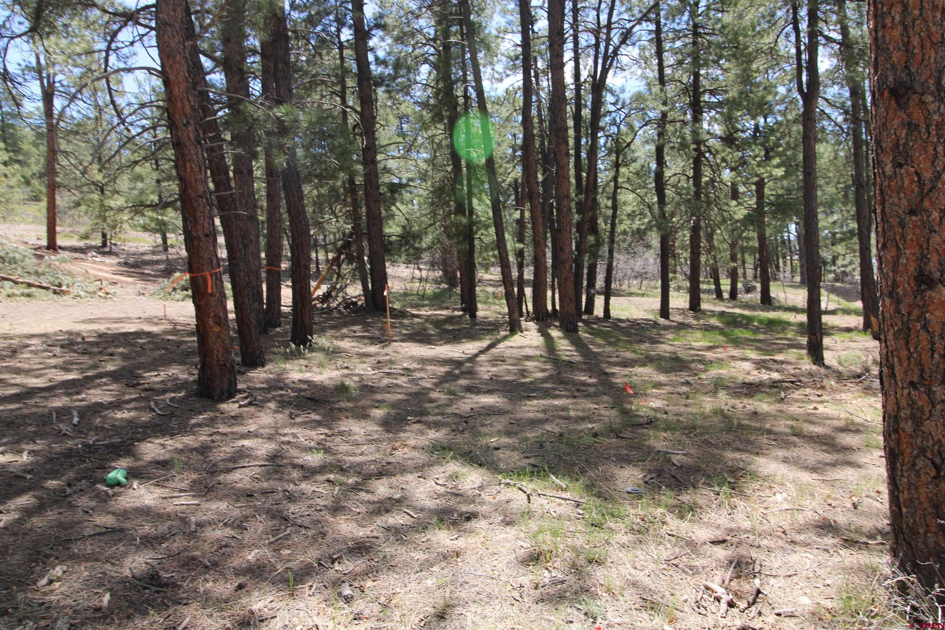2116 County Rd. 600, Pagosa Springs, CO 81147 Listing Photo  16