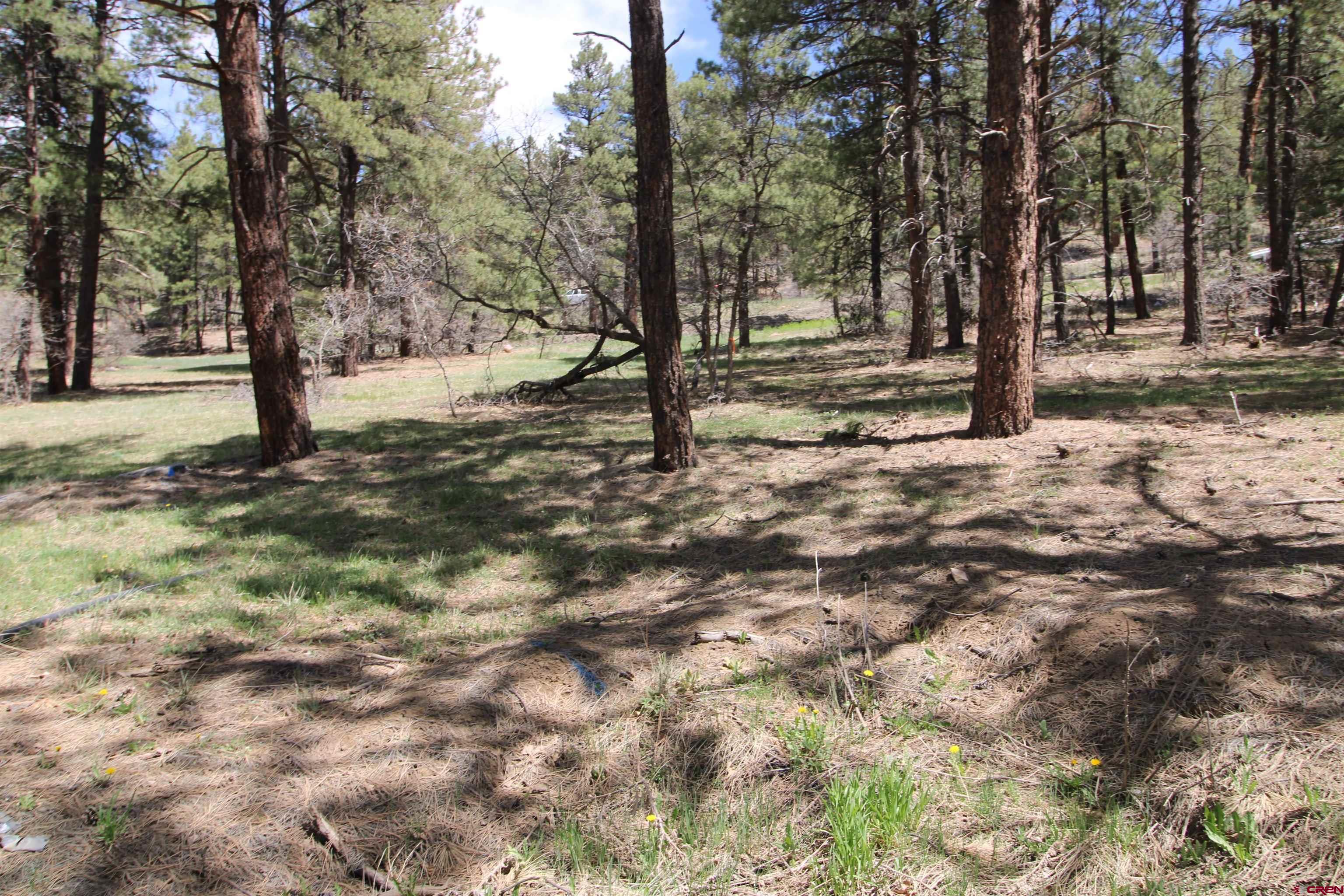 2116 County Rd. 600, Pagosa Springs, CO 81147 Listing Photo  22