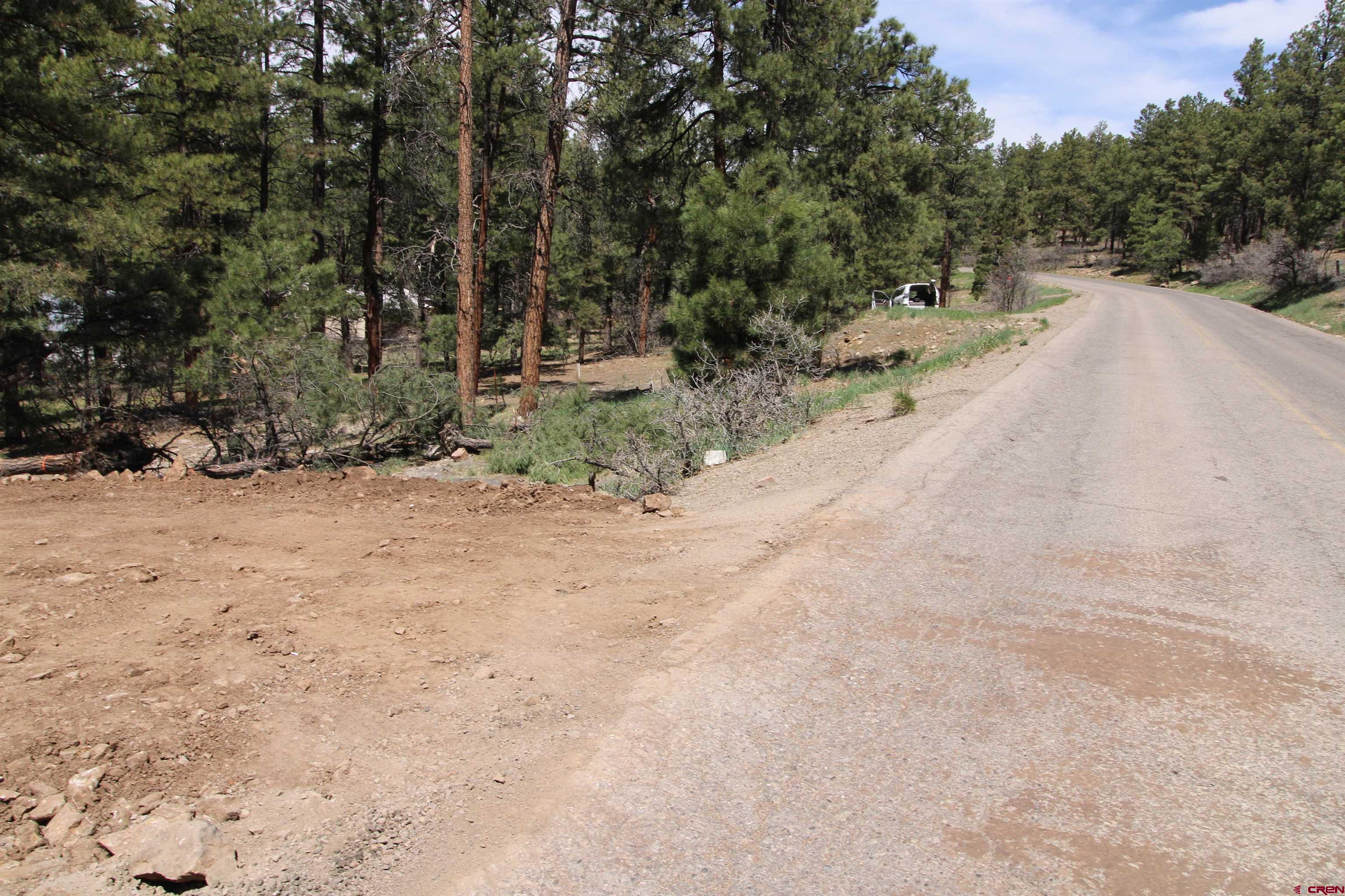 2116 County Rd. 600, Pagosa Springs, CO 81147 Listing Photo  4