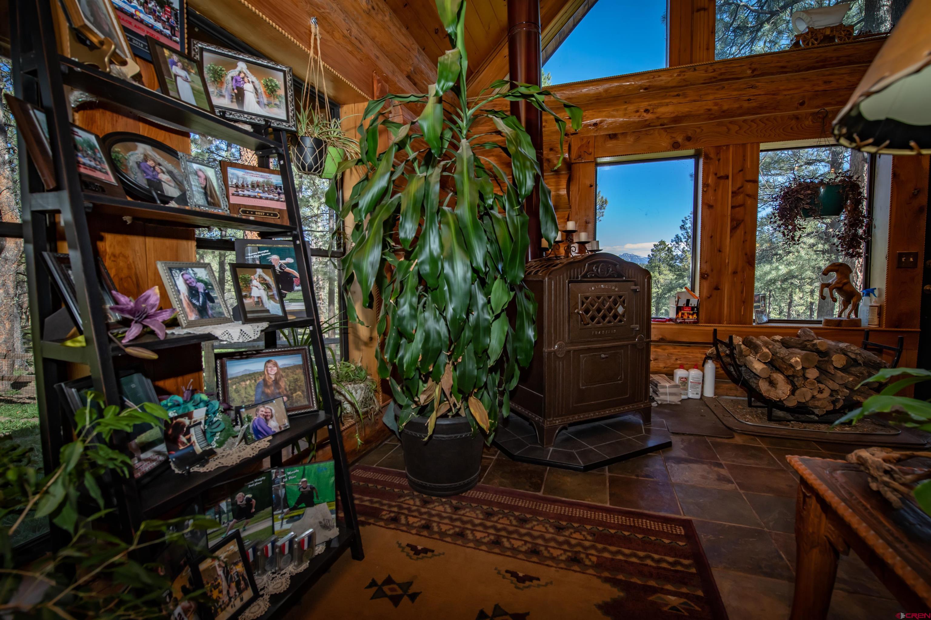 3601 A Terry Robinson Road, Pagosa Springs, CO 81147 Listing Photo  12