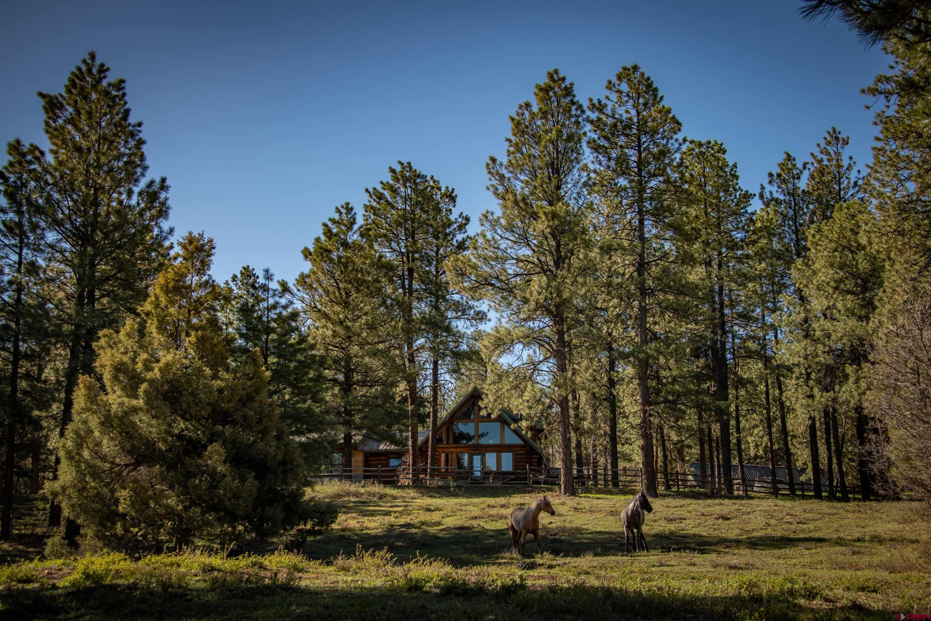 3601 A Terry Robinson Road, Pagosa Springs, CO 81147 Listing Photo  3