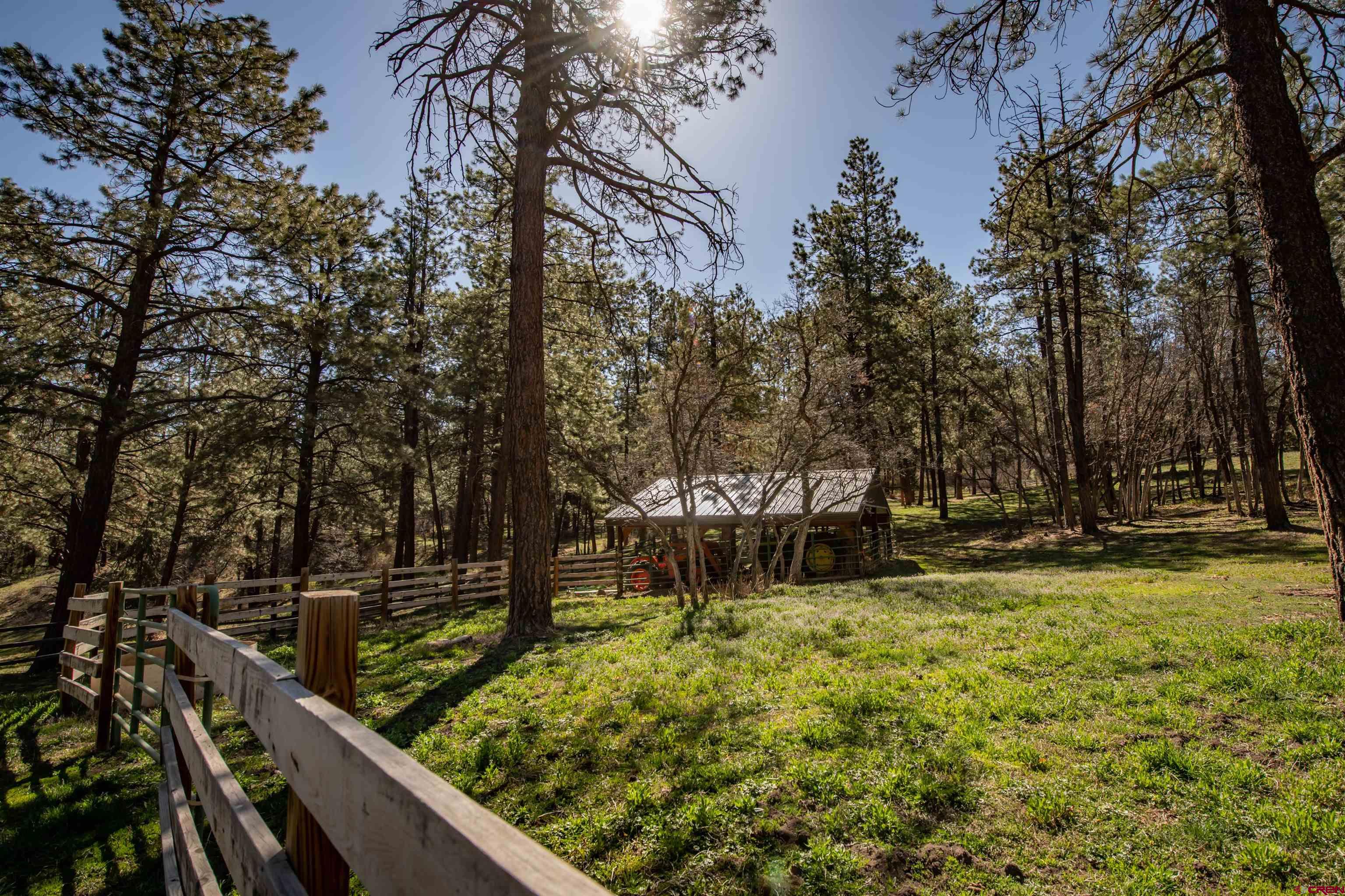 3601 A Terry Robinson Road, Pagosa Springs, CO 81147 Listing Photo  26
