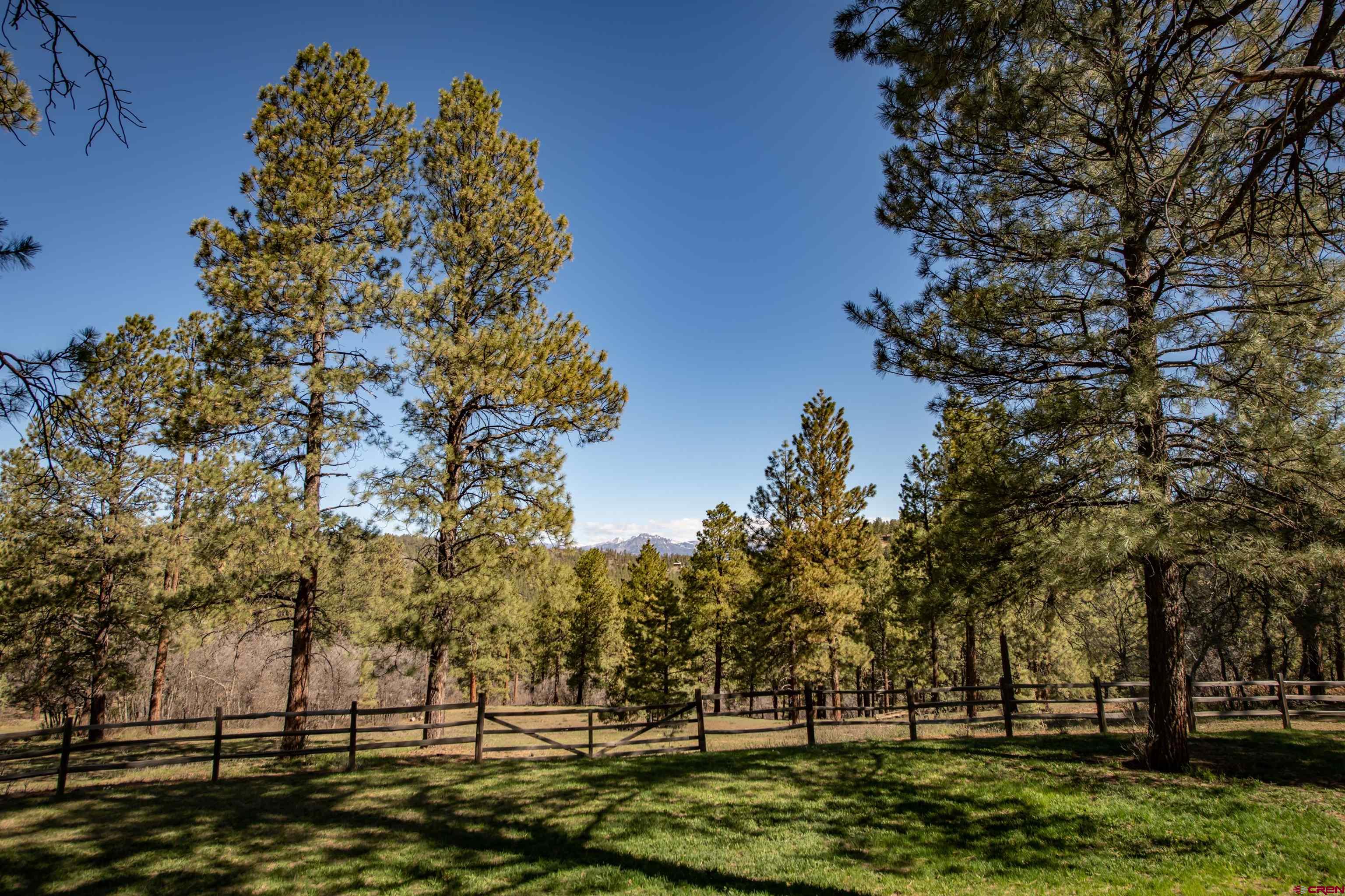 3601 A Terry Robinson Road, Pagosa Springs, CO 81147 Listing Photo  32