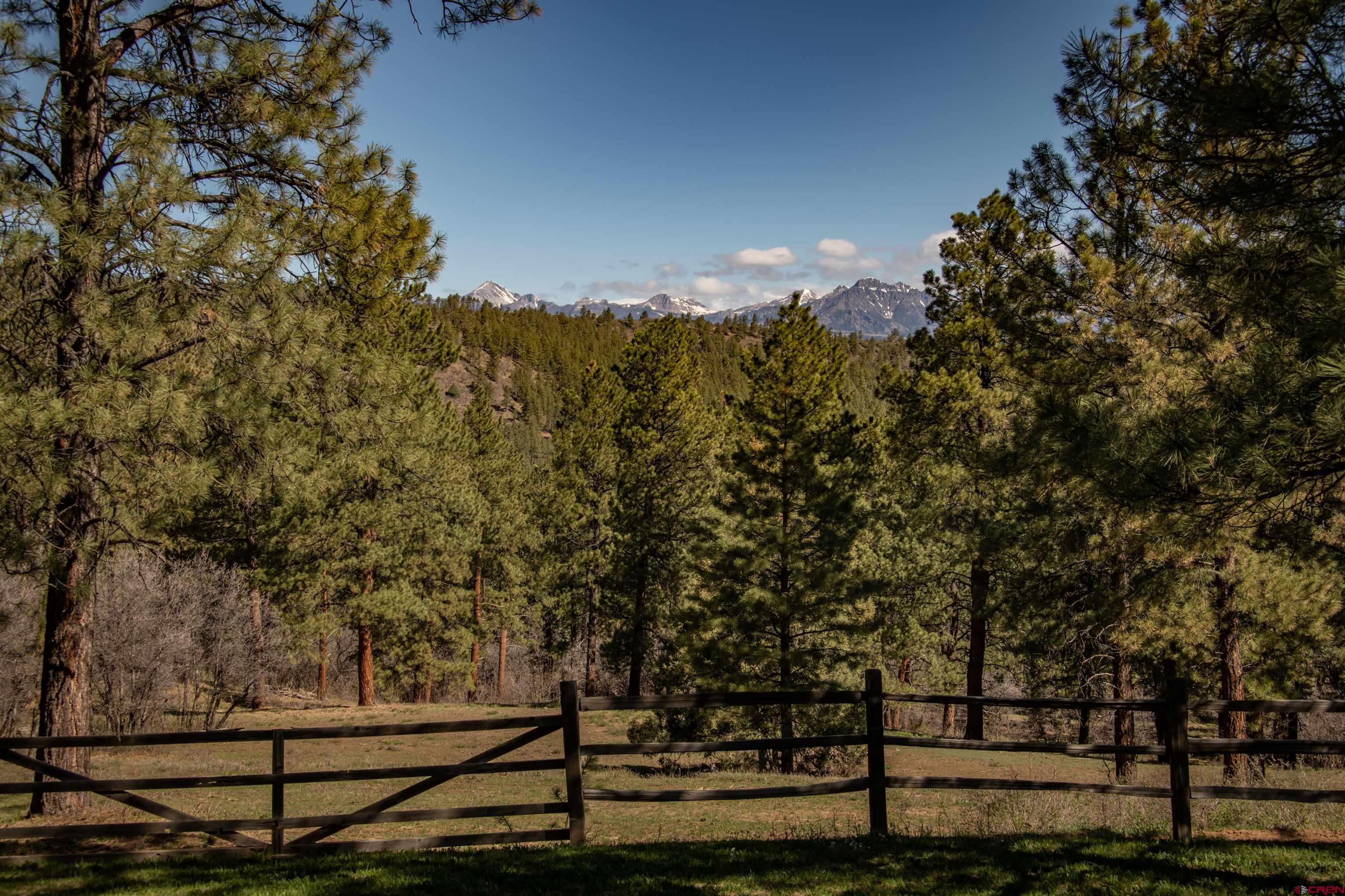 3601 A Terry Robinson Road, Pagosa Springs, CO 81147 Listing Photo  34