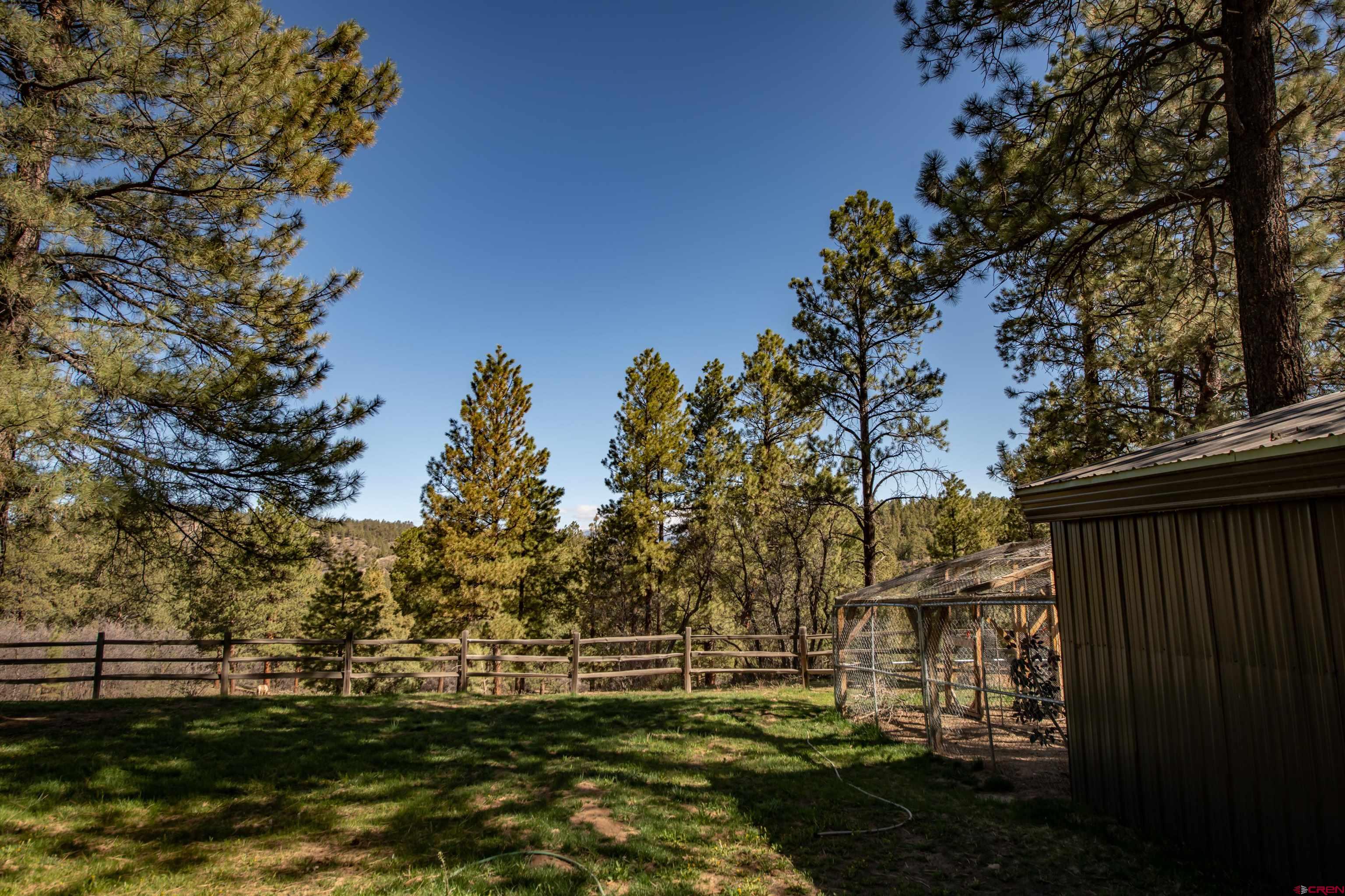 3601 A Terry Robinson Road, Pagosa Springs, CO 81147 Listing Photo  35