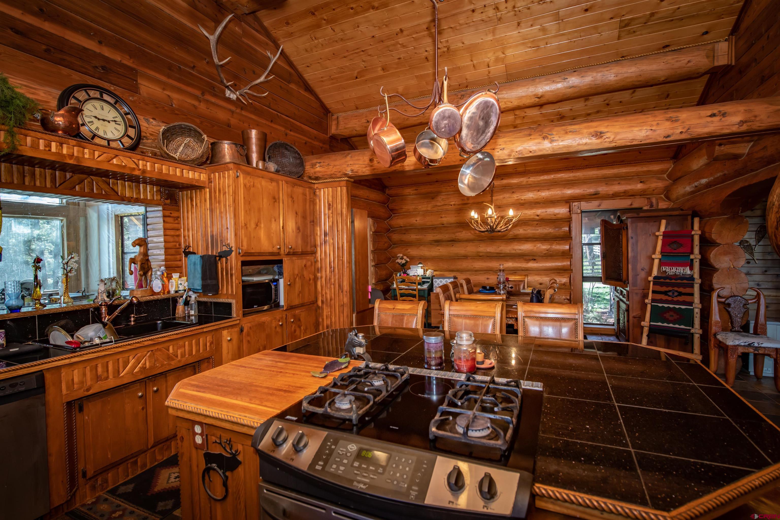 3601 A Terry Robinson Road, Pagosa Springs, CO 81147 Listing Photo  8