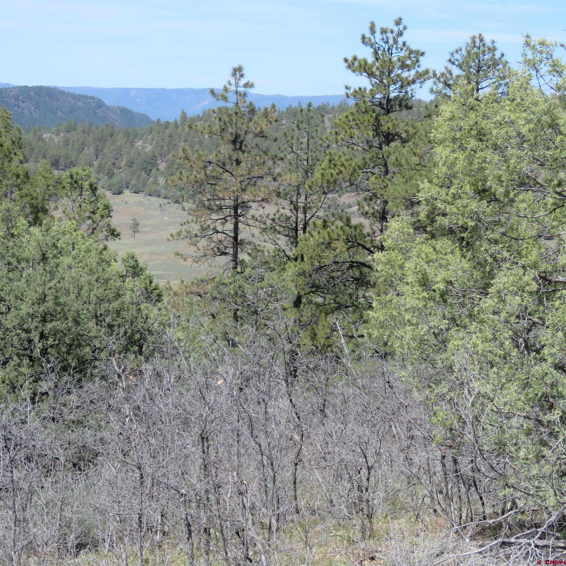14 Cat Creek Overlook