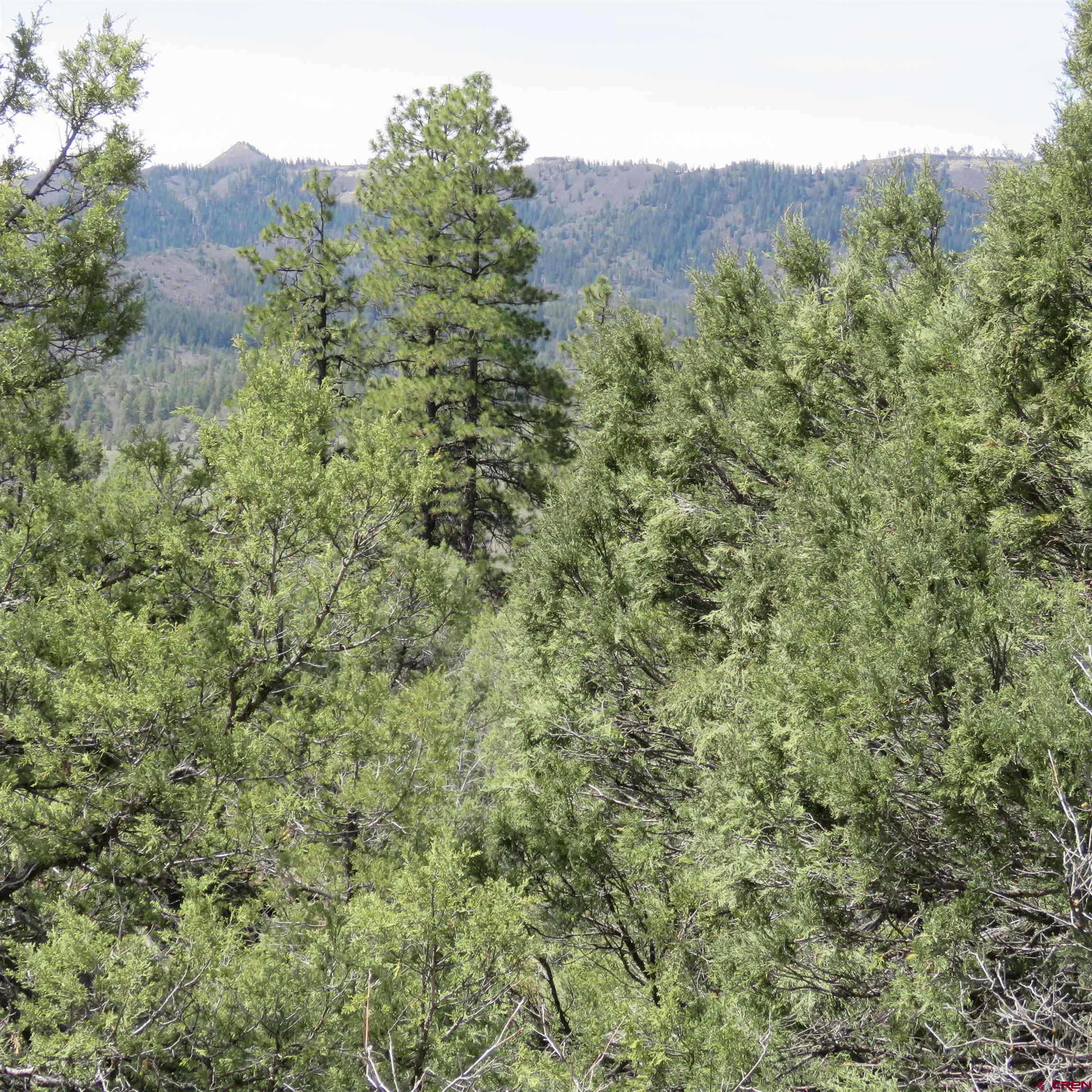 14 Cat Creek Overlook