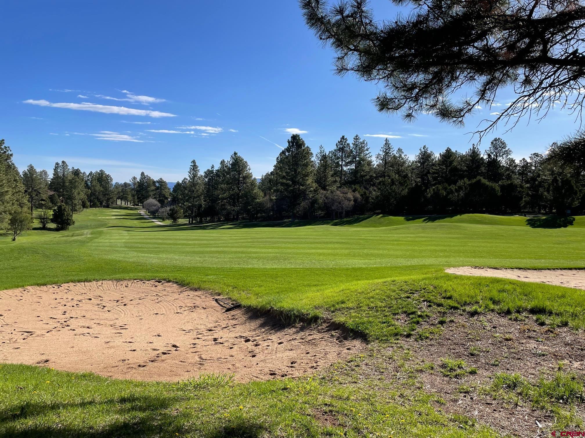 One acre level building site located on Divide Ranch and Golf Club's 2nd Fairway.  Many large Ponderosa Pine trees, the fairway "dog leg" affords expansive views of the course's 2nd 562 yard par 5 golf hole. The Divide Ranch Golf course is truly one of the most spectacular mountain courses in South Western Colorado. Ridgway is located in Ouray County Colorado, 45 minutes from World Class skiing, festivals and hiking in Telluride.   With a population of 5,000+- people the community is small enough to have that "home town" feel yet Ridgway has a vibrant art community, beautiful Ridgway State Park, camping, hiking trails, jeeping, water sports on Ridgway Reservoir and Ice Climbing in Ouray Ice Park.  A great area to call home. Montrose and Telluride airports close by.  Now is a great time to buy YOUR piece of paradise!