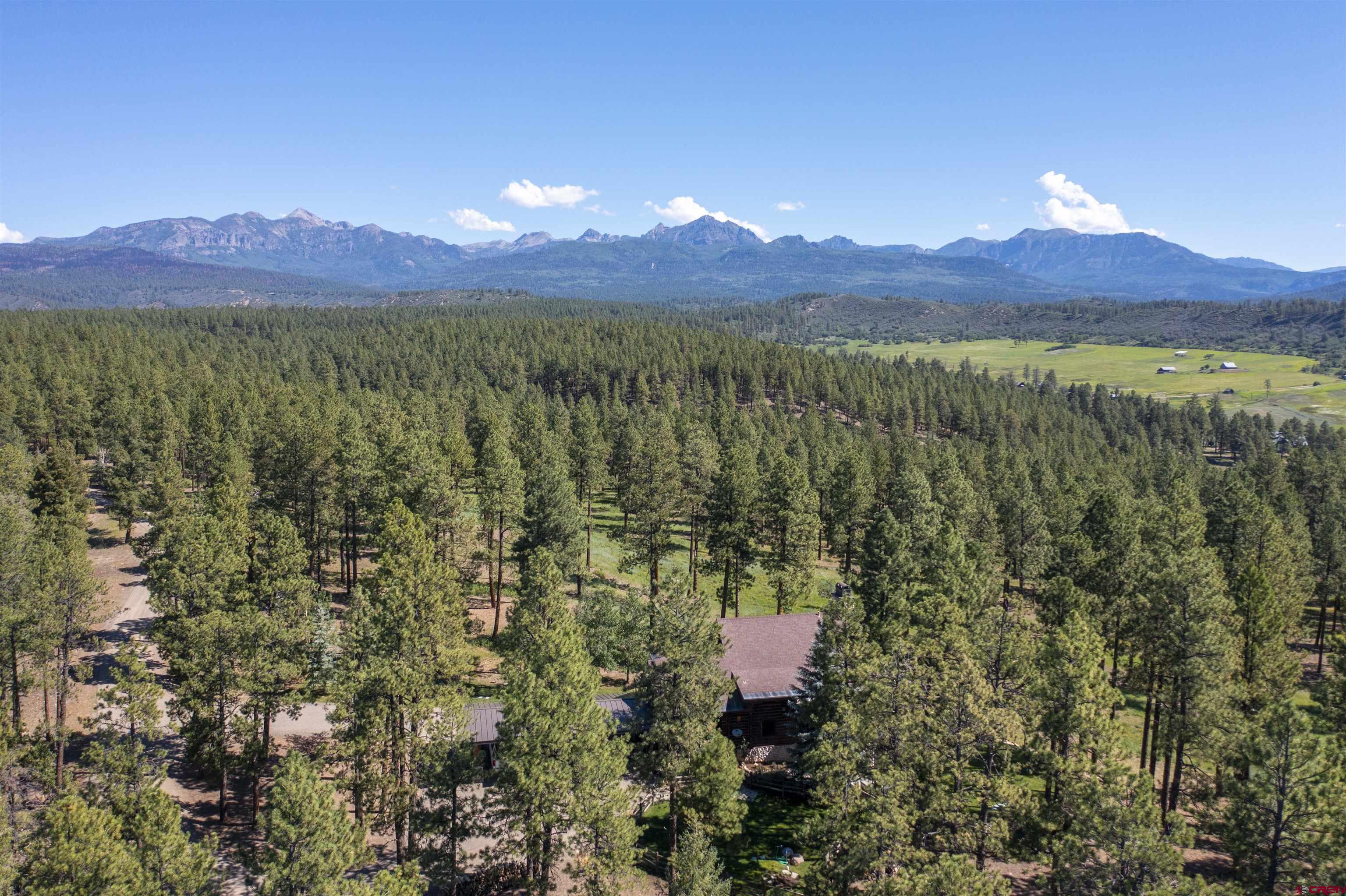 942 Hidden Valley Drive, Pagosa Springs, CO 81147 Listing Photo  32