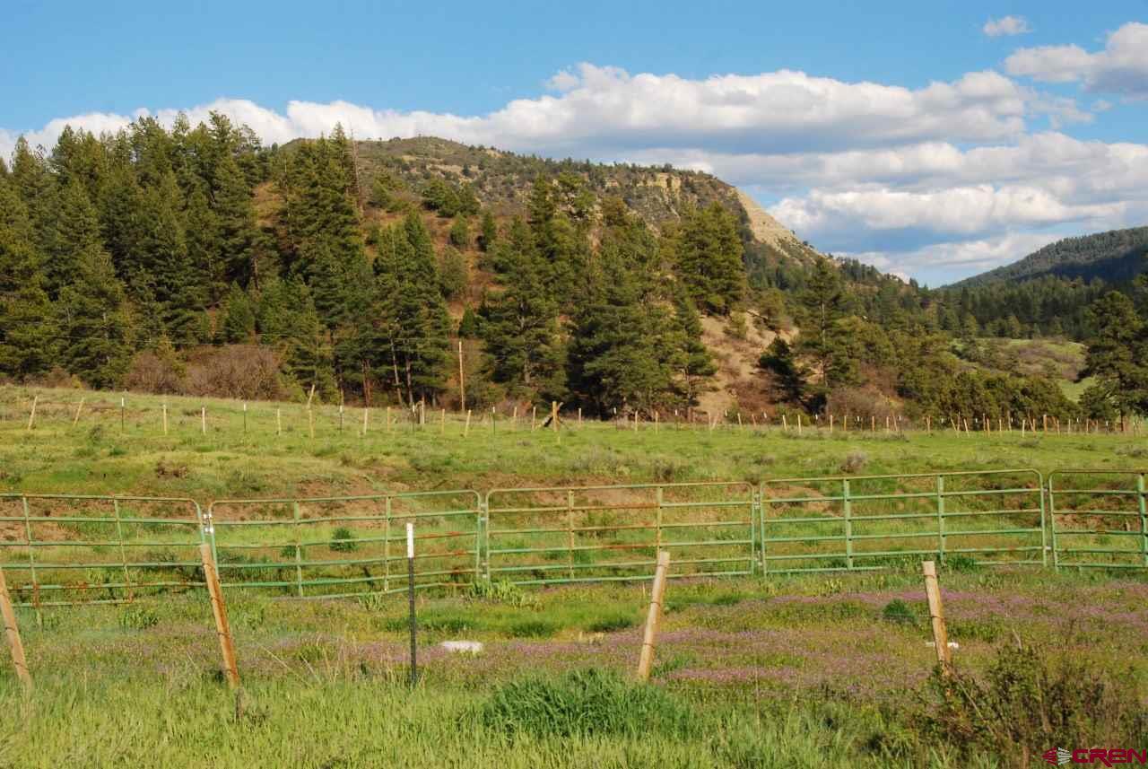 546 County Road 335
