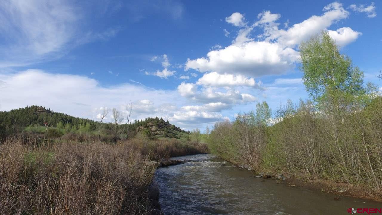 546 County Road 335