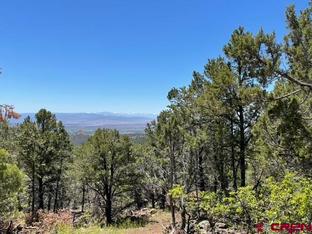 Unit Q in the High Park Road Subdivision. This is a gated community with covenants. Outstanding views of the mountain ranges to the south and east. A driveway has been roughed in for easy access to the property. Pinion and Juniper forest at about 7400 feet in elevation.