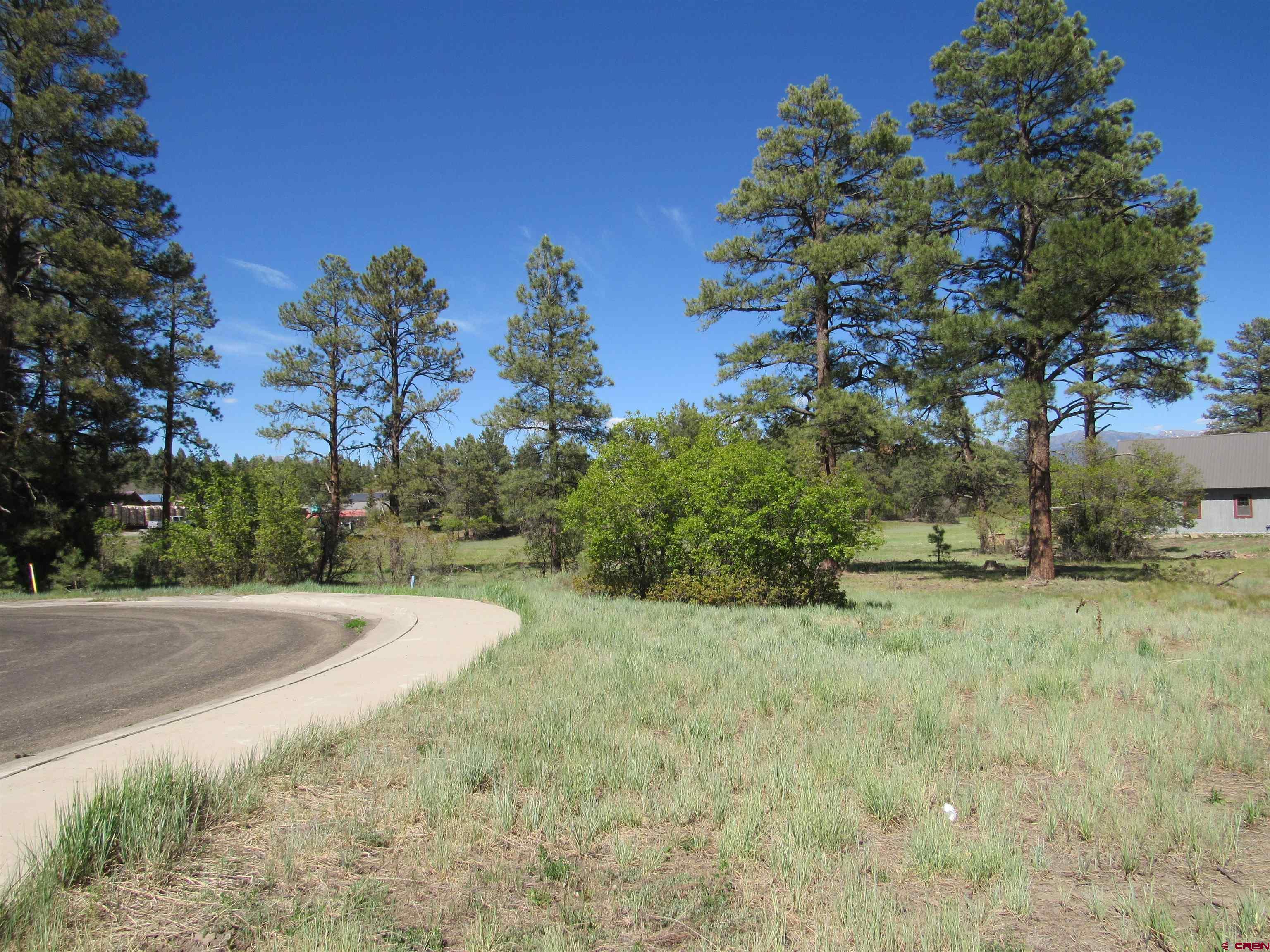 X Papoose Court, Pagosa Springs, CO 81147 Listing Photo  1
